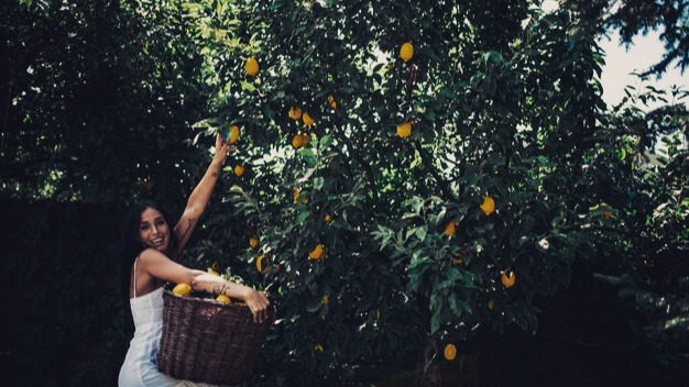 🌿✨ A Sunday Among Sicilian Scents 🍊🍋
Ever wondered what it’s like to harvest fresh oranges and lemons in the heart of Sicily? 🌞 Join a group of Russian travelers on an unforgettable day in the countryside, filled with fragrant citrus groves, authentic flavors, and timeless stories.
Curious? 🌱🌸
Read the full experience on our blog 👉 A Sunday Among Sicilian Scents: Orange & Lemon Harvest with Russian Guests
link:
https://www.sicilywestbymario.com/en/post/a-sunday-among-sicilian-scents-orange-lemon-harvest-with-russian-guests
#Sicily #CitrusHarvest #TravelSicily #AuthenticSicily #FoodAndTravel #Citrus #TravelBlog #SicilianLife #CulturalExperience