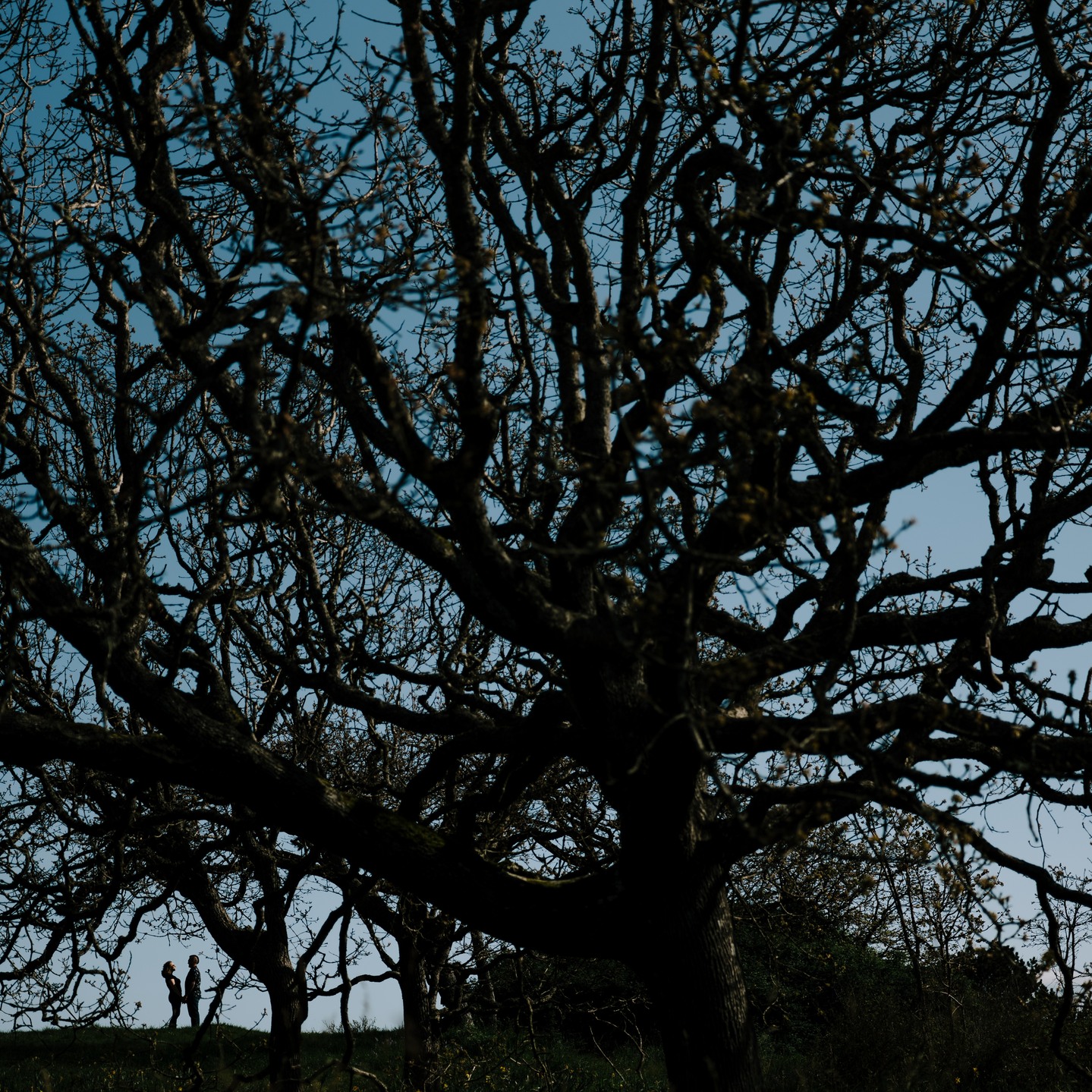 Victoria adventures with Samantha + Khyl We spent the afternoon wandering Beacon Hill, Fisherman’s Wharf, and wrapped it all up at Breakwater just in time to sprint (literally) for the ferry. 😂 Nothing like a little Easter weekend chaos to make it extra memorable! Honestly, the perfect way to end our island escape before diving back into the busy season.
Already missing these vibes!