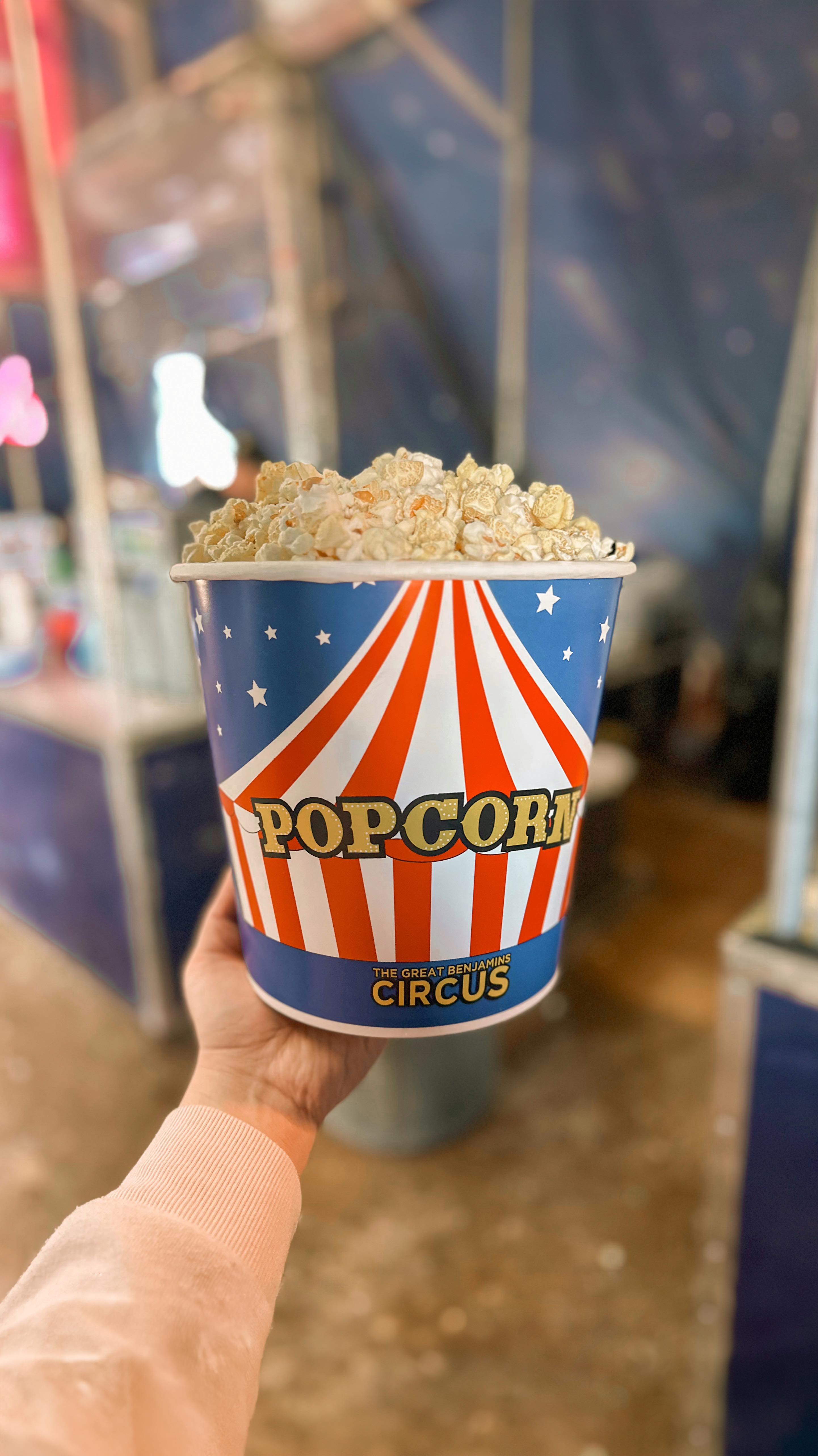 Spent a day under the big top! 🎪🤹🏼🤡
Thank you so much to @the.greatbenjaminscircus for hosting us while they were here in COS! The show was SO good and we had so much fun!
#Hosted #Circus #TheGreatBenjaminCircus #FamilyActivities #TwinMom #ToddlerMom