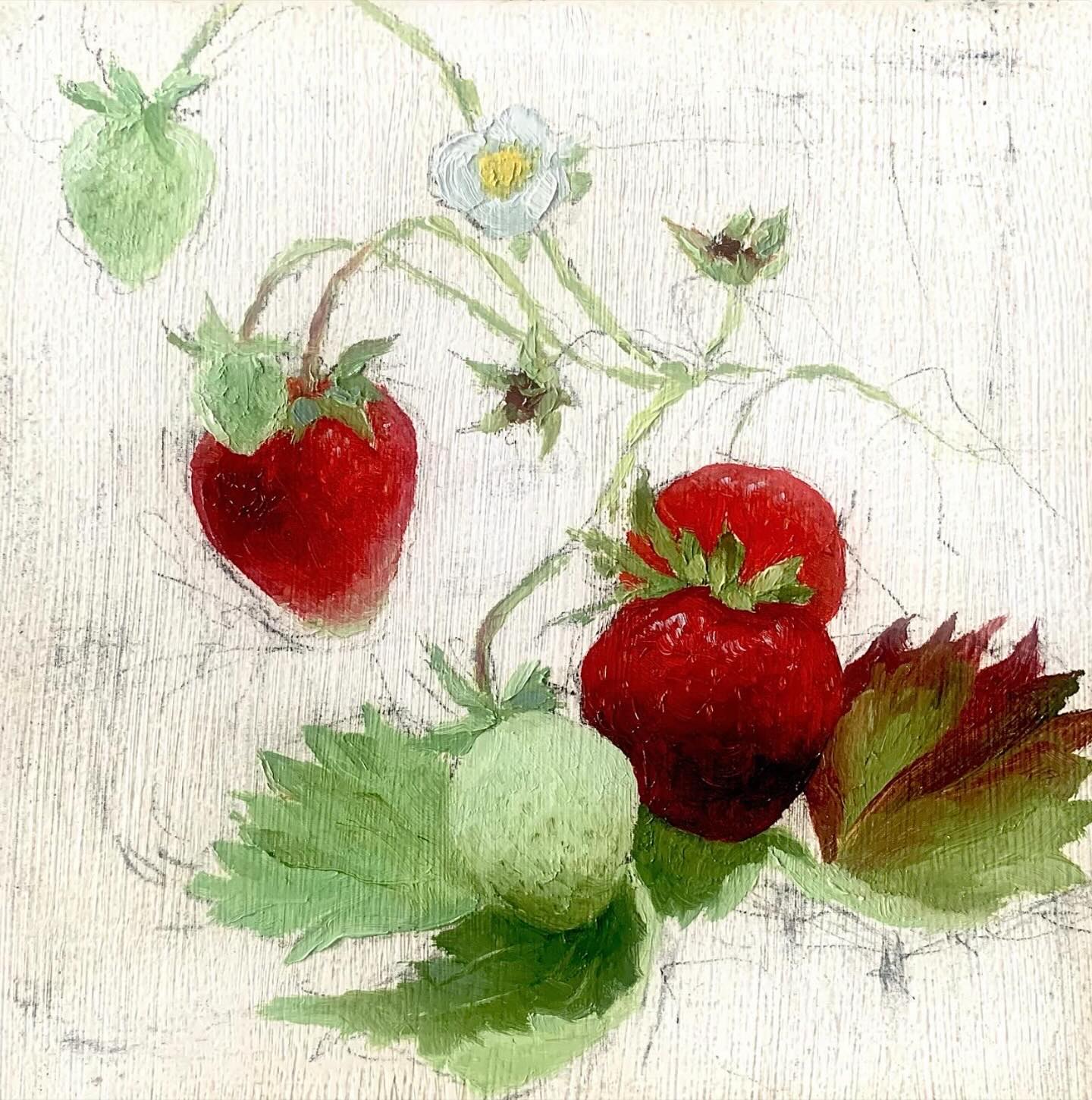 Reposting this one because I am about to start a series of similar paintings. I am revisiting the immediate feeling of those scratchy charcoal lines and using restraint to say what I want about a little detail.
#charcoaldrawing #oilpainting #strawberries #fruitpainting #artcollector #emergingartist #artforbreakfast #artshow