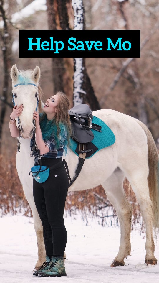 Mo means more to me than I can possible out into words. I'm determined to save him, no matter what it takes, and I'm thankful to @livelikeroofoundation and @ucdavisvetmed for their help. 💙
.
.
#livelikeroo #ucdavis #horses #cancer #squamouscellcarcinoma