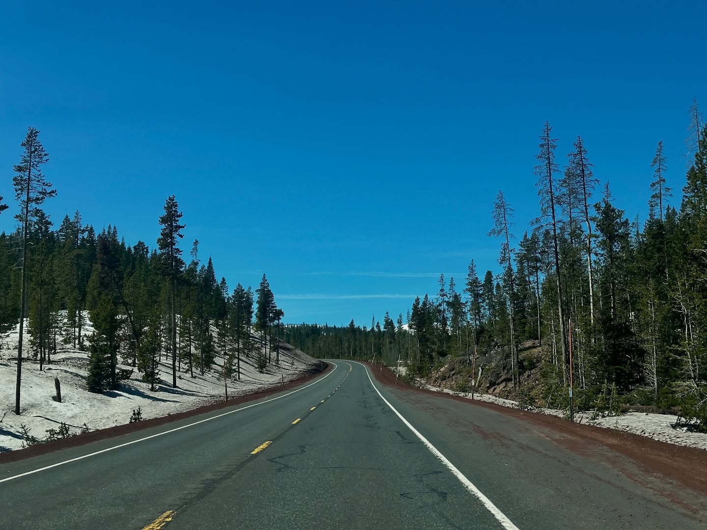 Yall ready for RendezVan 2025?!
.
So excited to see you there tomorrow!
.
.
.
.
.
#rendezvan #rendezvan2025 #centraloregonlife #oregonweddings #bendvwphotobus #bendoregonlife