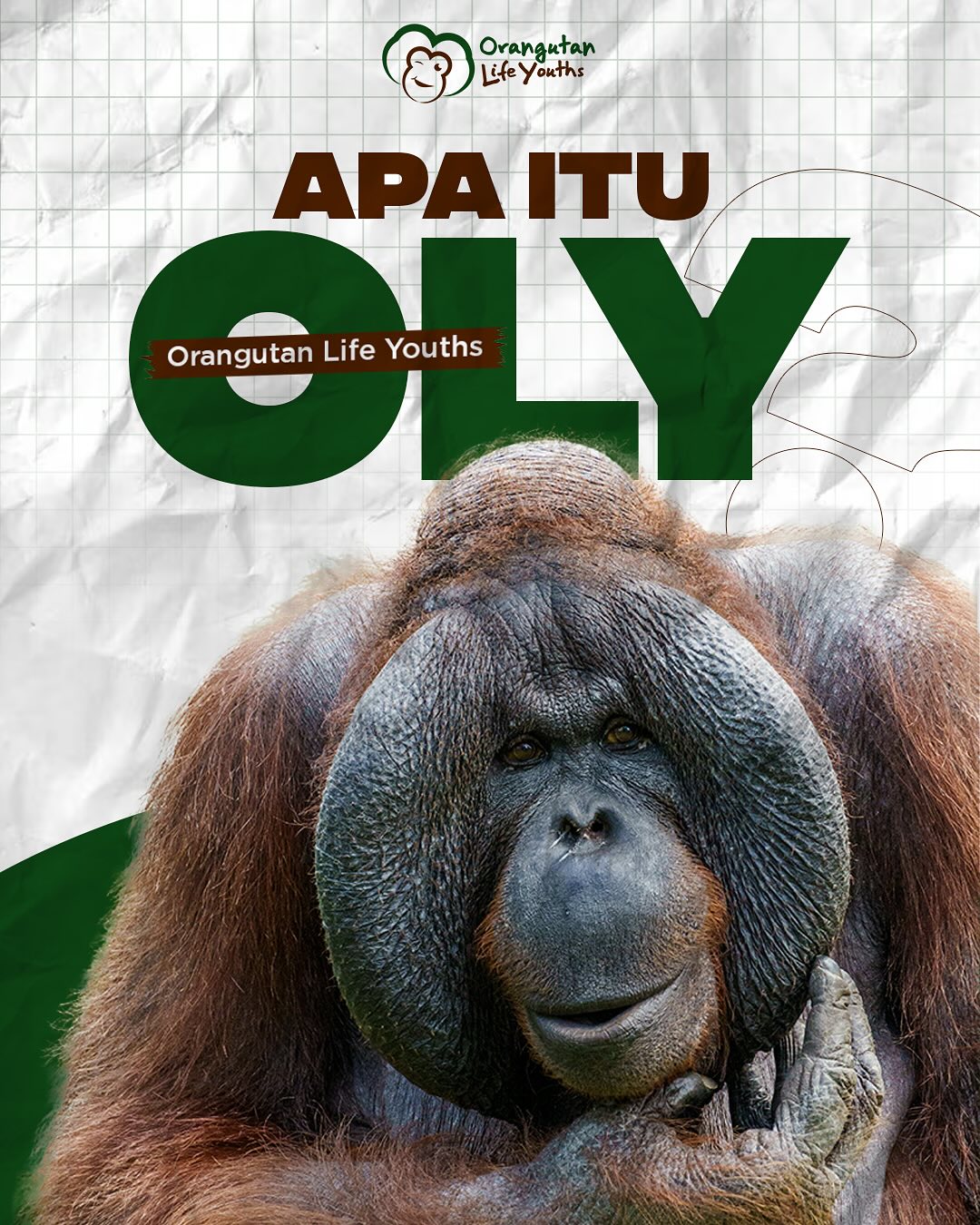 πΏβ¨ Halo, Outizen! Selamat datang di Orangutan Life Youth (OLY) β rumahnya anak muda yang punya hati besar buat alam, khususnya si merah berbulu panjang: orangutan! π¦§π
Kita di sini bukan cuma sayang sama orangutan, tapi juga peduli banget sama hutan hujan, satwa liar, dan ekosistemnya. Karena kita percaya, masa depan bumi ada di tangan generasi kita, dan kita nggak mau tinggal diam.
π― Tujuan kita simpel tapi kuat:
* Menyuarakan pentingnya konservasi orangutan π£οΈ
* Edukasi seru dan santai soal lingkungan π
* Bikin gerakan nyata bareng anak muda π₯
Buat kamu yang pengen jadi bagian dari perubahan, yuk ikutin perjalanan kita! π±
Follow dan stay tuned buat konten seru, info penting, dan aksi nyata kita bareng-bareng πͺ
#Orangbaikjagaorangutan #orangutanlifeyouths #OrangutanLifeYouth #OLYMovement #SaveOrangutan #JagaHutan #YouthForWildlife #AnakMudaPeduli