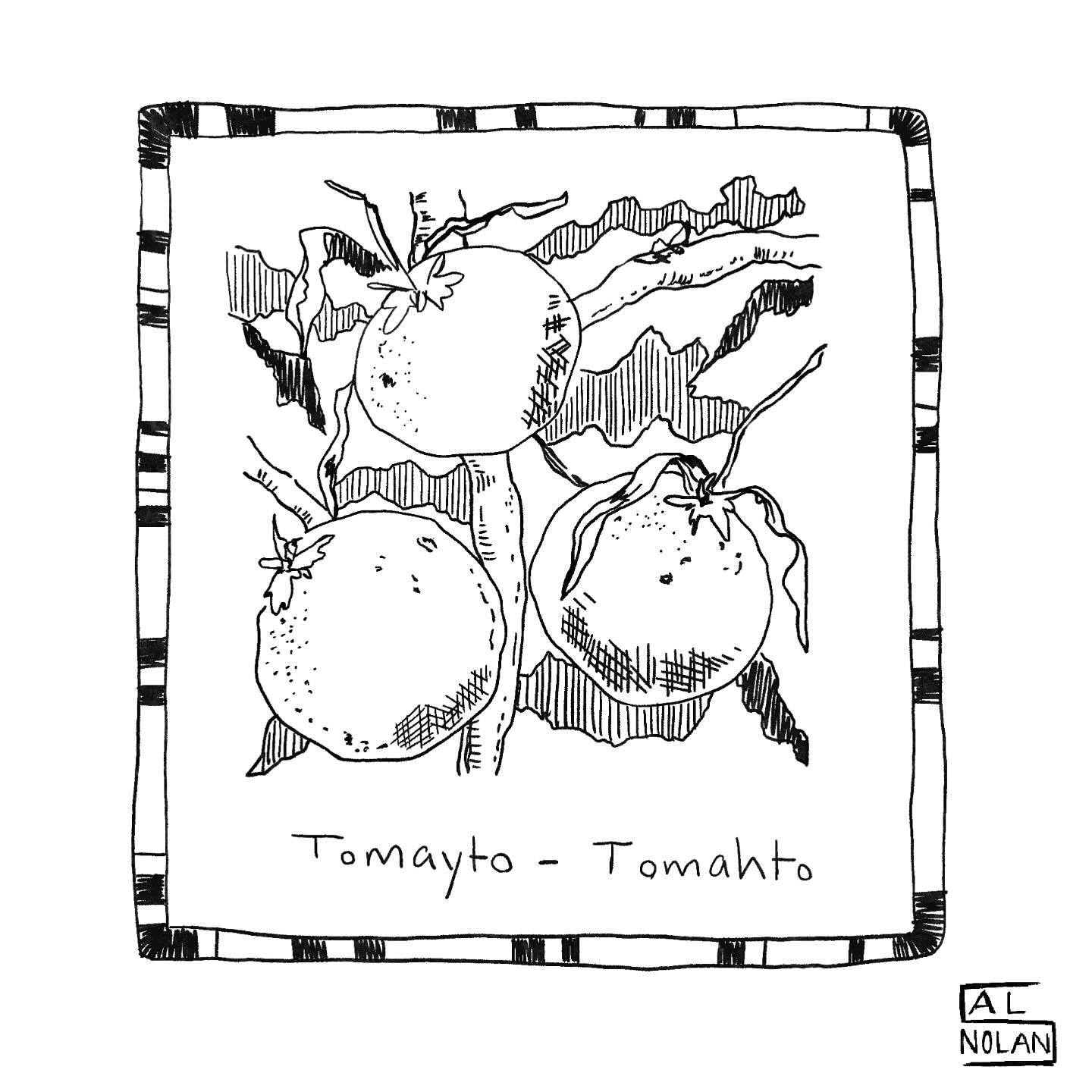 Tomayto- Tomahto
From a cosy drink n draw session