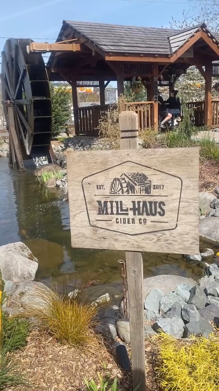 Enjoying the sunshine and smiles @drinkmillhaus. Lovely market, lovely people and lovely cider. What a great environment to spend time with your people and your dogs!
#spring #cider #eatonville #wa #pnw #apple #market #sourdough