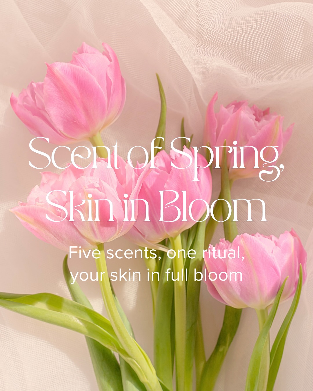 Every scent, a chapter of spring. 🌸
This season, we invite you to step into a ritual that honors the softness, strength, and renewal of spring.
Five floral-inspired body care bundles, each telling its own story — one delicate, one bold, one bright, one grounding, one serene.
They’re crafted to reflect the many moods of the season — and the many layers of you. Whether your skin needs calm, energy, or a little romance, this ritual is designed to meet you there.
Coming soon 🌷🌻
.
.
.
.
.
.
.
.
.
.
.
#bodycare #bodycareproducts #spring #springhassprung #bodycareroutine #bodycarecollection #beautycare #beautycareproducts #natural #beauty #skin #skincareroutine #skinproducts #skinproducts #skinglow