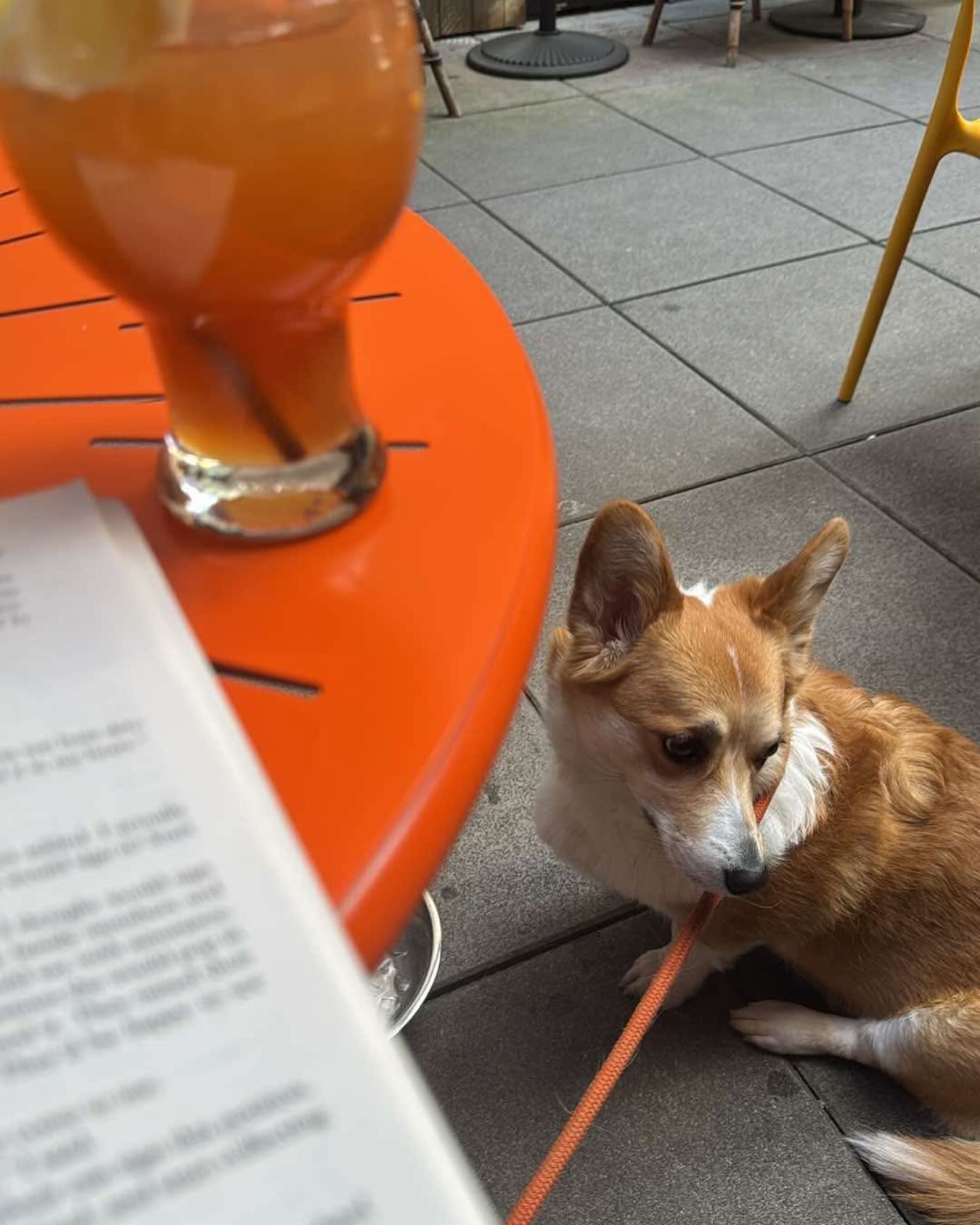 I’m obviously behind the times on this, but reading “Eat, Pray, Love” and feeling in love with the idea of traveling to learn, to discover yourself, and to simply live. Kind of like sitting at the cafe with a dog, a book, and a cocktail
#eatpraylovetravel