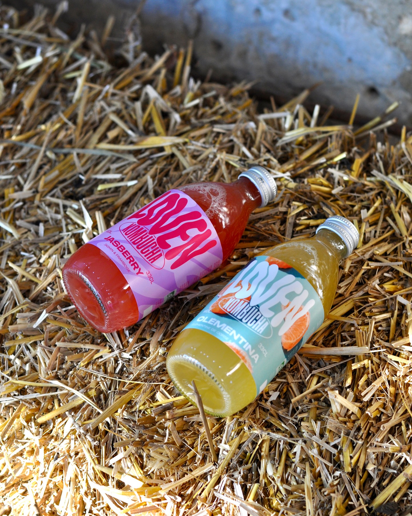 Nouveau à La Capucine 🥤🧊
Les kombuchas artisanaux @lovencrew : un clean soda 100 % naturel, brassé chez nos copains Wambrecitains dans le 59. 🧊
C’est frais et maintenant disponible au 80 rue Claude Monet 📍
#giverny #givernyfrance #givernymonet #claudemonetgardens #coffeeshop #kombucha #hautsdefrance #normandie #normandiemylove #normandietourisme