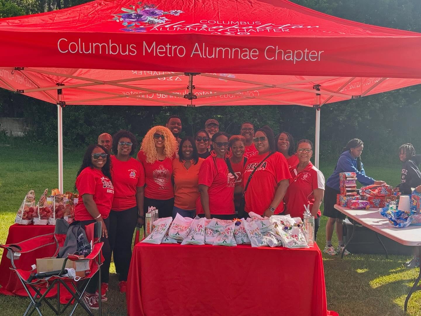 It was a beautiful day in the neighborhood for the Columbus Metropolitan Alumnae Chapter and AJ McClung YMCA Bounce and Balance Wellness Adventure. Thank you to our community partners the Department of Health and Valley Health Care System, Inc. as well as mental health resources Roby Murphy, LPC, owner of Boost Your Life Counseling and Consulting; Louis York, NCC; Sendena Stewart-Scott, LPC owner of Southern Charm Counseling Services, LLC; Denise Reeves, Behavior Specialist; and Dolores Tarver, Ph.D., PC, Columbus Psychological Associates. #CMACimpact #mentalhealthawareness #GoodHealthWINs #DST1913