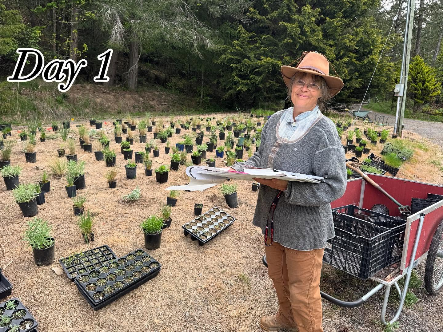 This year's garden project - converting the grass field above the septic to a prairie meadow. I will need 650 plants. I've started some native plants from seed last fall; purchased plugs and pots from local nurseries. 1 - first day planting. 2 - a view from above 3, 4, 5, 6- plants that will be in meadow. 7 - slow but steady progress...😉