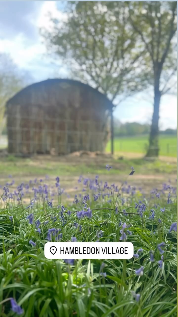 You can find us in Hambledon Village, Godalming, Surrey, England. One of the prettiest, most quintessentially English villages in England…
The reason @the.constant.maker with its creative workshops courses & events, interior design and space to hire is where it is, is easy to see & when you find out just how much it has to offer you really start to understand how lovely a place it is to be a part of & to visit:
With countryside walks in every direction…this one takes you to Hydons Ball…the nearest train stations taking you directly to and from London are walking distance from the lovely village store and cafe @hambledon_village_shop (next to the bucolic cricket green) where you can get everything from logs and kindling to restaurant grade sushi…
Not forgetting the best gastro pub, with rooms & shepherds huts with fire pits to while away your time in this beautiful countryside location @merryharriershambledon
and next door to that, how many villages can you go to with an old coal yard @coalyardcreatives to amble around, meeting makers & making plans with the following artisans…
🧁 a mouthwatering cake baker @figbakery
🪚 a locally renown joiners @peachbespokejoinery
🥋 a taekwondo expert @fearlesstkd
💍 a phenomenal resident jeweller @jewelledgodalming
🛋️ an upholstery & furniture restoration expert
💇♀️ a fabulous salon @kellysuzannehair
🖼️ a cool, modern art gallery @number15gallery
🌁 a luxury travel company @godalming_travel
🪴a beautifully appointed garden furniture & interiors showroom @gardengateuk
🍸a boutique gin distillery @beaginfluencer
🎨 an incredibly talented local landscape artist ggoddardart.com
🧵a bespoke curtains & blinds maker
@suziewigginteriors
It’s lovely here, a hidden gem…