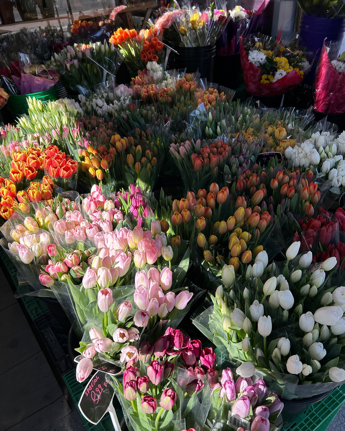 Spring!