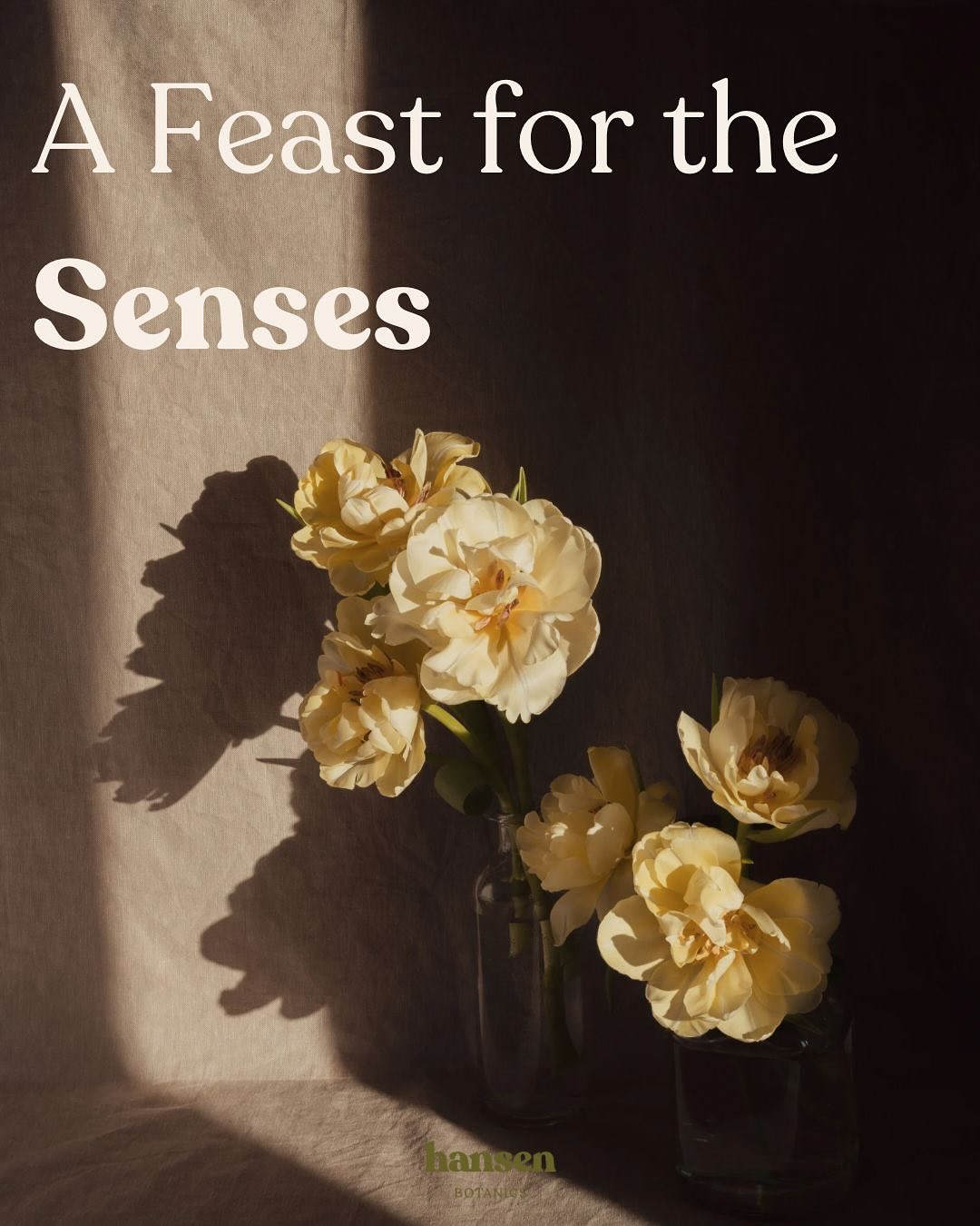 The Art of Scent
A Sensorial Solstice Workshop
Join us at Swan Hill Studios on Saturday 21st June 2025, from 10.30am – 2.30pm, for a deeply nourishing and immersive workshop in botanical alchemy.
Led by Fran of Hansen Botanics, this Sensorial Solstice gathering invites you to reconnect with your senses and inner wisdom on one of the most energetically potent days of the year.
Through the art of aromatherapy blending, you will create your own personal scent and craft a bespoke body oil, tailored to support your unique being. You will also learn self-massage techniques to continue your ritual at home.
Hosted in our beautiful, historic surroundings of Swan Hill Studios, the workshop includes:
– Cacao and a nourishing seasonal lunch
– An immersive sound bath with @findjoyinyourjourney8, accompanied by a head massage
– A generous gift box filled with curated wellbeing treasures to support your journey beyond the day
Whether you are completely new to aromatherapy or simply seeking a soulful reset, this workshop is open to all and promises to leave you grounded, inspired, and replenished.
Only two tickets remaining.
To receive your booking form, please email: hello@hansenbotanics.co.uk
We cannot wait to welcome you to this very special Summer Solstice celebration.
#hansenbotanics #swanhillstudios #aromatherapy #summersolstice #shrewsburyevents #holisticpractitioner