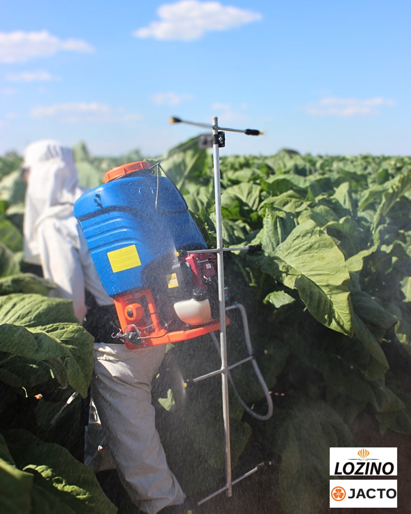 Spray smarter, not harder!
Our Jacto PJ-M motorized knapsack sprayer offers power, performance & comfort all in one.
It’s pictured above with the cottontail attachment - a specialized multi-outlet nozzle system designed to enhance spraying efficiency, particularly in dense foliage and tall crops.
Shop a wide range of knapsacks and accessories at Lozino — it’s time to gear up 🔝
#worksmarternotharder #Jacto #lozino #cropspraying #precision #zimbabwe #farming