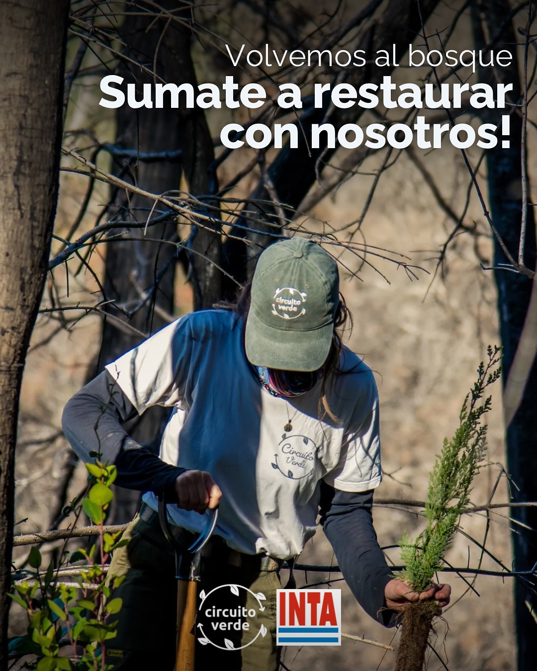 CONVOCATORIA CERRADA. Nos estaremos contactando con las personas que vienen por mail, estén atentxs! 💚
Estamos felices de anunciar que como cada otoño, volvemos al bosque 🌳
Junto al INTA Bariloche acompáñanos una vez más a participar de una jornada de restauración activa en la Reserva Forestal Loma del Medio - Río Azul en El Bolsón donde vamos a aprender y compartir junto a 60 voluntarios de Bariloche y la Comarca.
📅 Cuándo: Sábado 26 de abril
Duración: todo el día. Salimos de Bariloche a las 7.30am. Nos encontramos con los voluntarios de la Comarca a las 10am y a las 20hs aprox. ya estaremos de vuelta en Bariloche.
✍🏻 La jornada es gratuita, con capacidad limitada y requiere inscripción previa en el link que está en nuestro perfil e historias. Te vamos a confirmar tu lugar al mail que te inscribiste. Hay tiempo de inscribirse hasta el sábado a las 13h.
❤️🩹 La Reserva sufrió un primer incendio en marzo de 2023 y este año 165 hectáreas más en el Incendio Confluencia. Desde septiembre del 2023 realizamos distintas jornadas de plantación, extracción de exóticas invasoras y monitoreo con voluntarios. El sábado haremos un poco de cada actividad, entendiendo a la restauración activa como parte de un proceso de acompañar lo que necesita el bosque.
⛰ Tené en cuenta que vamos a estar en terreno agreste durante toda la jornada. Traé algo para almorzar, abrigo, mochila y calzado cómodo. Nosotros nos ocupamos del traslado y colación de merienda.
📥💚 Podés ayudarnos también a solventar los gastos mediante una donación única a nuestro alias CIRCUITOVERDEBARI o podés sumarte como Socio de Circuito Verde (link en bio)
Nos vemos en el bosque para que vuelva con más fuerza!