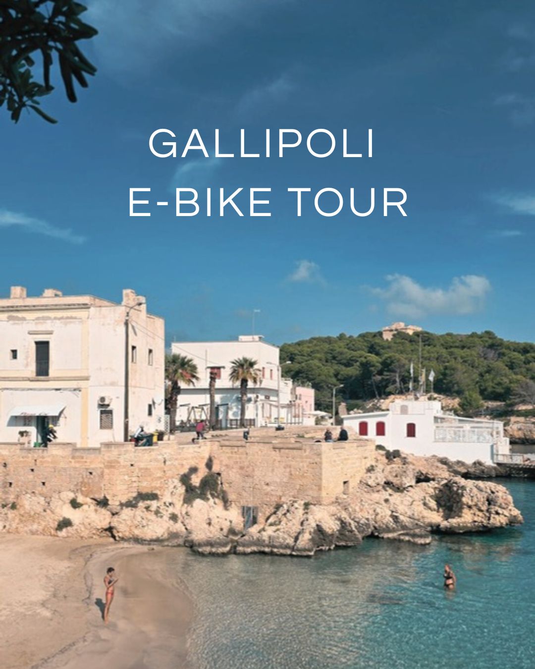 Gently gliding through the olive groves of Salento, our e-bike tour leads us to Gallipoli — where time slows down and every moment feels cinematic.
We pause for coffee in the baroque squares of Nardò, take a dip in the crystal waters of Santa Maria al Bagno, and ride on towards the old town of Gallipoli, suspended between sky and sea.
Fishing nets drying under the sun, golden light spilling over the harbor, and a way of life that still moves to the rhythm of the tides.
As evening falls, the sea invites us to taste its soul: freshly caught seafood, local wine, and a view that leaves you breathless.
An experience of quiet luxury, intimacy, and timeless beauty.
Discover Gallipoli — the way few ever do. 🚲🌅
#pugliabikeexperience #leccebiketour #pugliabikerental #cyclinginpuglia #publiabiketours #hikingpuglia #luxurytravelitaly #leccebikerental #slowtravelpuglia #pugliahikingtour #pugliabiketour #pugliaadventures
