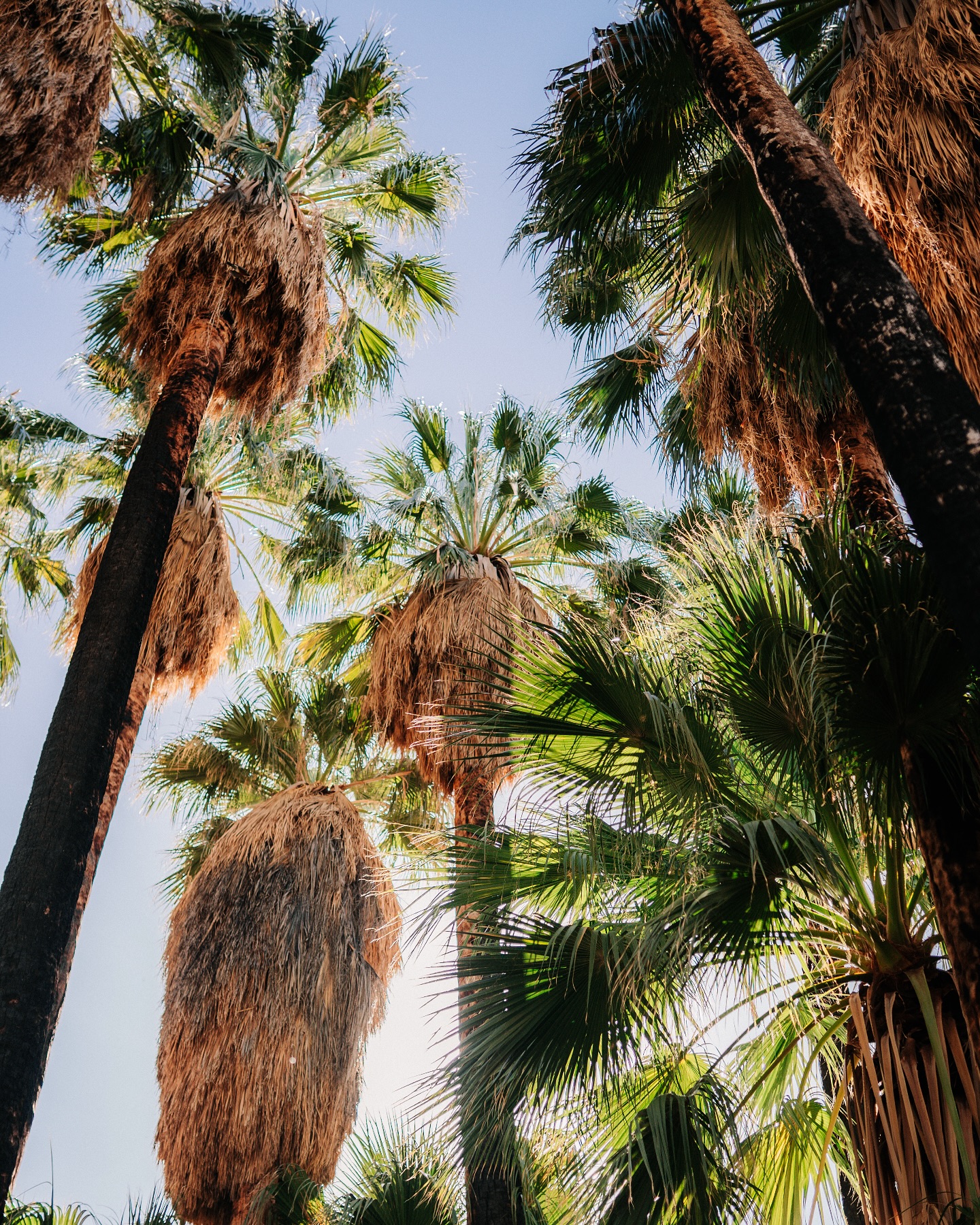 Heute in einer Woche fliegen wir nach Costa Rica. ✈️ 🇨🇷
Wir freuen uns schon sehr auf die 3 Wochen Vorort und auf das ganze Wildlife was wir sehen werden den. 😍🦥🦜🐍
Aber natürlich auch auf die Landschaften, Dschungel, Vulkane und Strände.
Wo wir bei Vulkanen sind. Der Poás Vulkan, der nahe des internationalen Flughafen, liegt musste kurz vor unserer Reise noch ausbrechen und schleuderte vor paar Tagen eine 3000m hohe Aschewolke in Luft. 🌋
Unsere erste Unterkunft befindet sich nur 15km entfernt von dem Vulkan. Laut Experten befindet er sich wohl in einer hoch aktiven Phase. Also falls er nochmal Asche oder Feuer spuckt, sitzen wir in der ersten Reihe und haben wir beste Sicht. 😂
Konntet ihr schon mal einen aktiven Vulkan beobachten ?
#costarica #reiseliebe #kalifornien #thousandpalmsoasis #nordamerika
