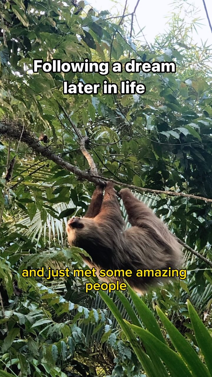 #BritishMusic #IndieArtist #NewMusic #NeverTooLate #MidlifeReinvention #FollowYourDreams #OvercomingFear #SelfDiscovery #LoveAndHealing #AuthenticLiving #EmbraceYourself #YouAreNotAlone #HealingThroughMusic #LiveMusic #MusicLover #AcousticSessions #MusicCommunity #SupportIndieMusic #UnsignedArtist #MusicDiscovery #ViralMusic #DiscoverMusic #NextBigThing #FanLove