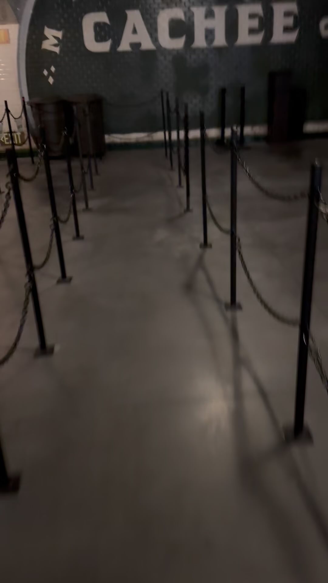 Oh wow oh wow oh wow!