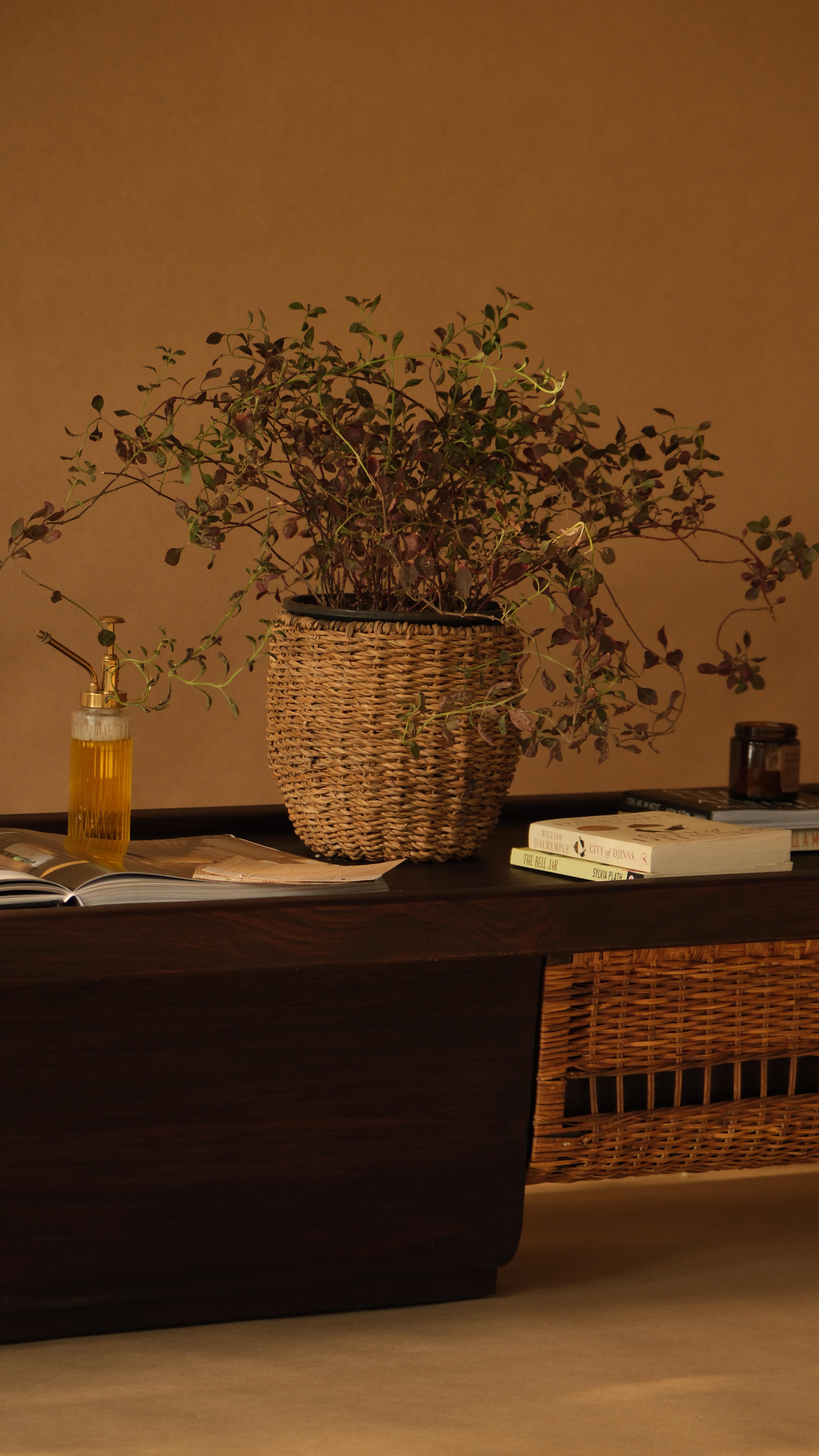 whispers of weight and warmth - arriving soon
#weaving #furnituredesign #interiordesign #furniture #contemporarycraft #design #nagaland #wood #coffee