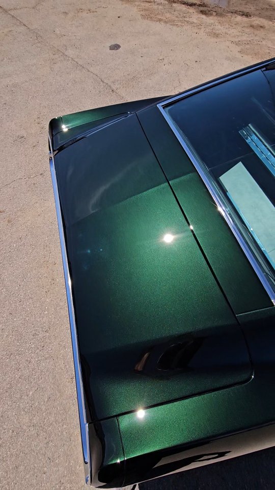 💸🌳
Trust the process.
.
.
.
#mustang #ford #fastback #fastbackmustang #americanmuscle #madeinamerica #detroit #california #paintcorrection