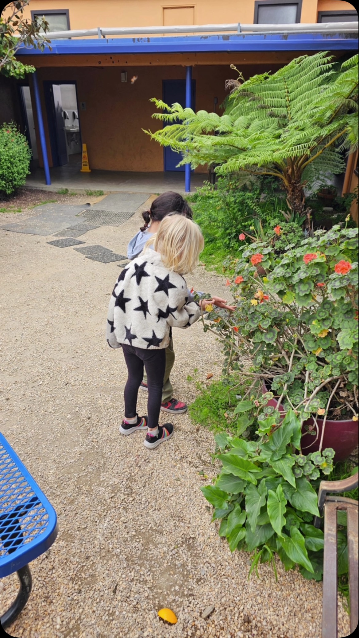 Freeing ladybugs in the garden. #alamedaartsfun #alamedaarts #neaschool