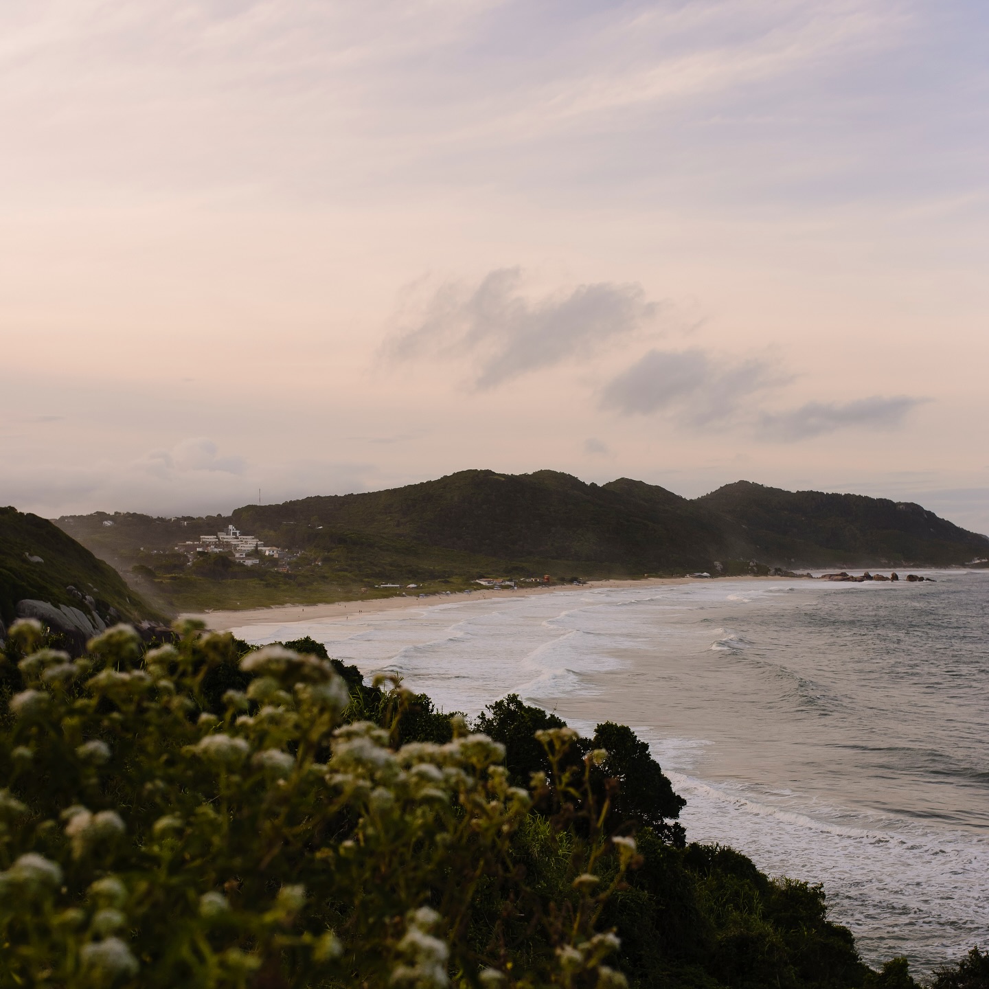 As coisas mudaram um pouco por aqui, sou muito grata a todos os meus clientes de Londrina por terem me escolhido nesses 10 anos, para registrar os momentos mais especiais da vida 🥰
Chegou a hora de mudar, tomar coragem e ir atrás dos meus sonhos! ✨Sempre com fé em Deus 🙏
A fotografia sempre, eu digo SEMPRE morou no meu coração e me sinto tão feliz fotografando as famílias, eu realmente me entrego, e sou muito grata porque até hoje todos me acolheram como se fosse da família 🥹
Continuarei fotografando aqui em Florianópolis cidade que escolhi para ser meu lar 🏠❤️
Para meus clientes que quiserem saber um pouco mais da minha vida, o que estou fazendo rsrs sigam meu instagram pessoal @jaqueline.vaz_ 🙃
.
Obrigada Londrina 💛