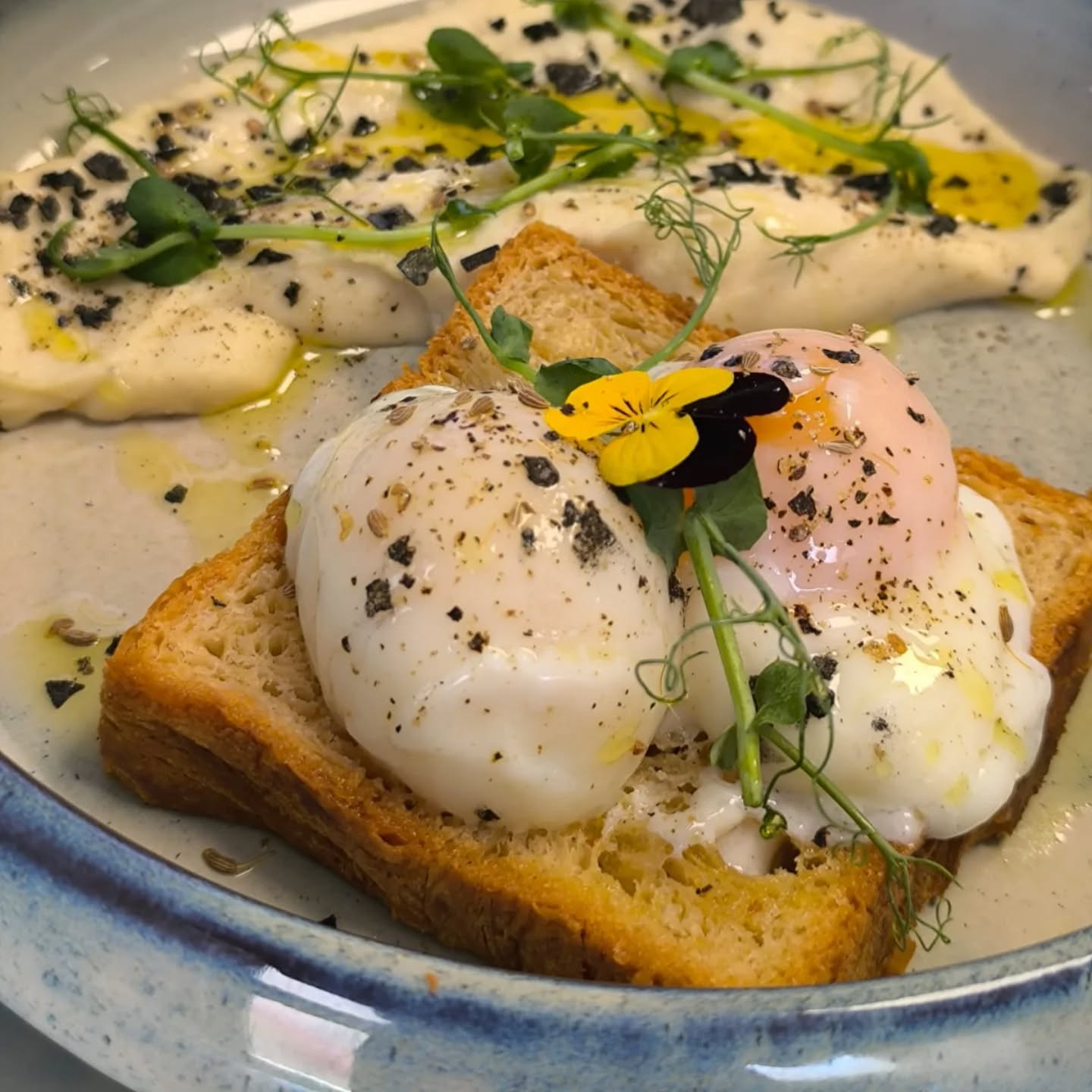 Huevo de Gallina Murciana y Castellana Negra
100% Raza Autóctona a baja temperatura con crema de apionabo y anís. Vaya pinta tiene 😋
¡El huevo perfecto de @los_osos_golosos ! 🥚 💫
Si te apetece probarlo, no dejes de visitarlos.
#huevosecológicos #huevosgourmet #huevoscastellananegra #huevogallinamurciana