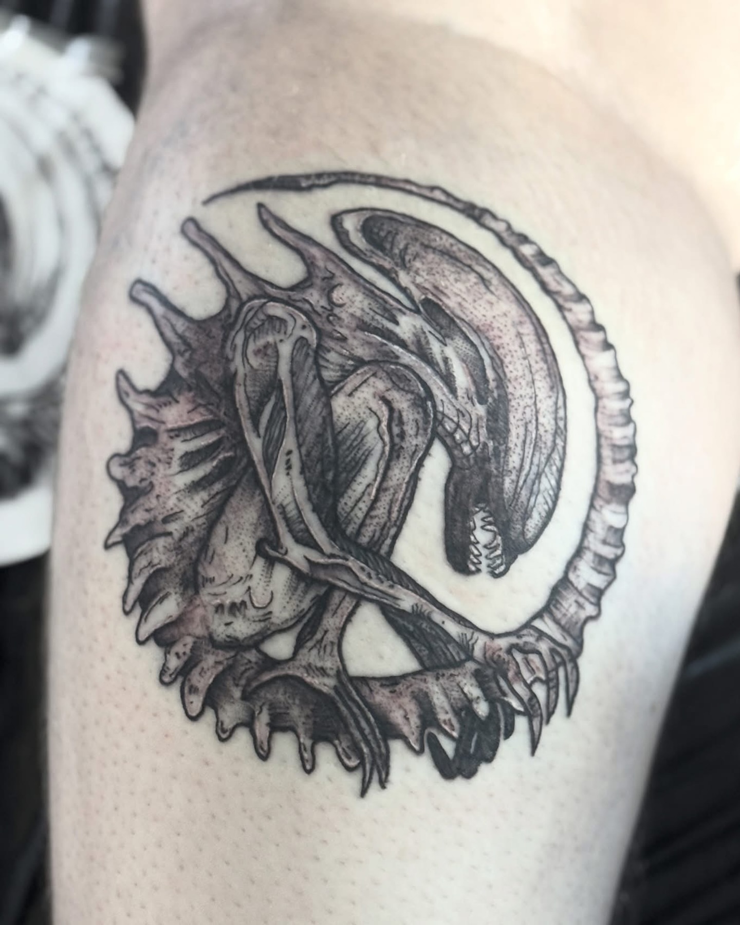 ⚜️ @morbid.ttt ⚜️
-
For Bookings & Enquiries
📧 oculustattoo@gmail.com
☎️ (03) 9486 8679
⚜️ 776 High St. Thornbury ⚜️
🚪 Open 7 days for Walk-ins
-
#OculusTattoo #OculusManor