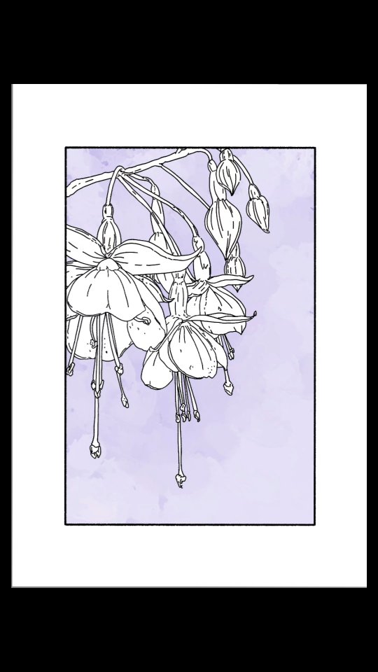 I gave you a little snippet of a drawing yesterday but thought I would give a bit of a better display of how I work through a drawing.
Let me know if you want to see more videos like this!
A proper start to finish of a Fuschia finished with a high contrast negative space colour.
Hope you like it!
#greetingscards #fuschia #watercolour #stopmotion #art #handmade #handdrawn #lenovotab #prints