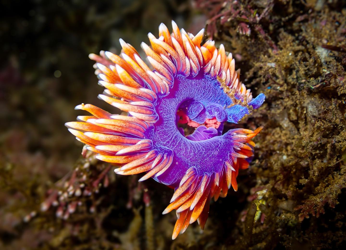 Happy Earth Day 2025! We’re grateful for our beautiful blue planet! Here are some photos from our part of the world!