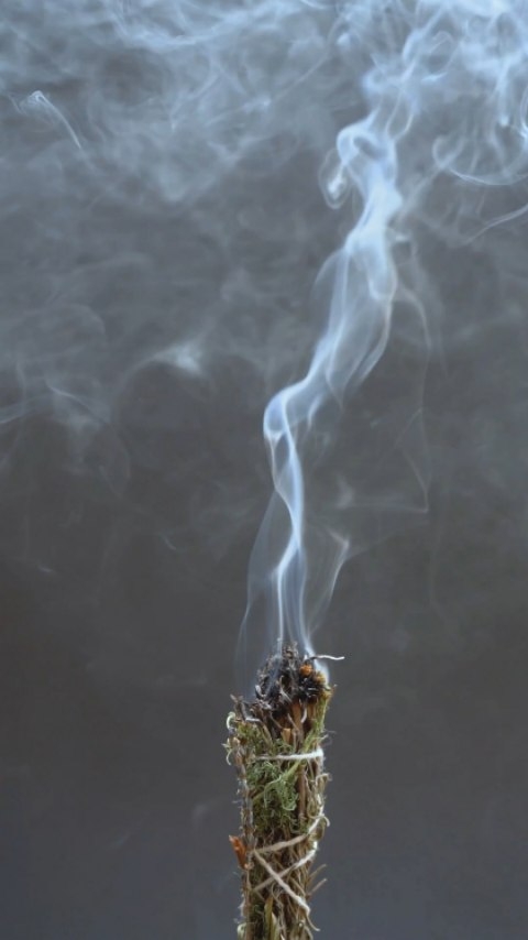 When only the best is enough! The goddess in you! 🌿🏵
www.lashesbyasiilanna.com
#lashesbyasiilanna #plantpower #plantextracts #naturalcosmetic #outofmatrix #trueplantpower #lashserum #thebesteyelashserum #eyelashserum #lashgrowthandmascara #tubingmascara