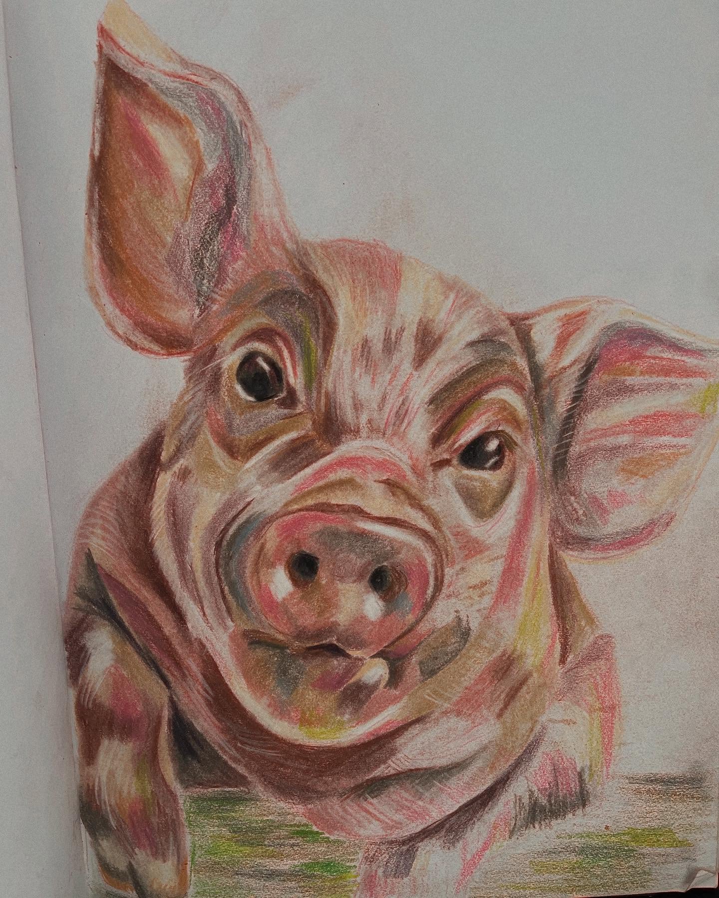 What else am I supposed to do on a 14 hours flight except draw piggies 🐖 🐷💕 this pencil drawing is a clue to the what painting I have planned in my mind 🎨 watch this space! 🖼️
