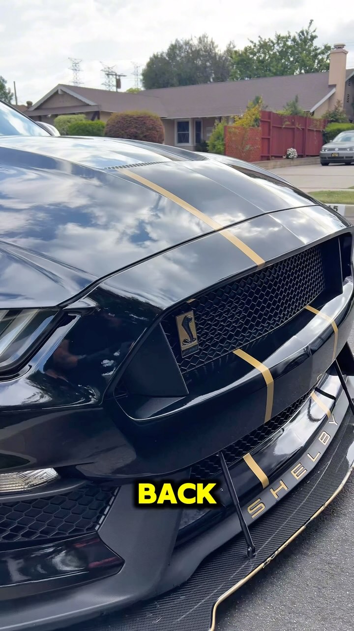 If you want to come down and see some amazing vehicles tomorrow 7:30am to 9:30am my boy is hosting his first ever #cowsandcofee @cfa.devonshire.reseda .
You are going to be able to see this beautiful vehicle along with many others, there might be some rain but what better way to enjoy it then to participate in raffles , see amazing cars and eat some amazing food .
I hope to see you all there .
#blacklistedautodetailing #mobiledetailing #sherwoodforest #northridge #chickfila #devonshireandreseda #raffle#prizes#cars#cows#cofee