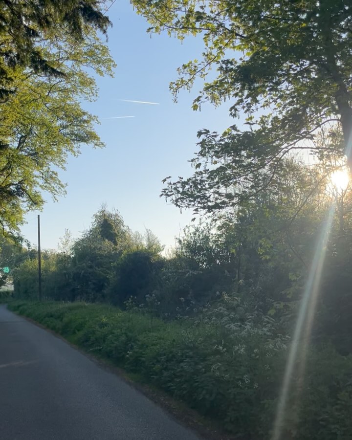 bringing in the may
beltane blessings dear ones
taking time to honour, to celebrate
maybe even just a moment to simply notice
the peak of springs abundance
joy, love, fertility, life, creativity
growth, power, potential
and the union of it all
around us
and so within us
💚🌱🌸🌱💚
#nature #natureconnection #ecotherapy #ecopsychology #beltane #spring #hampshire