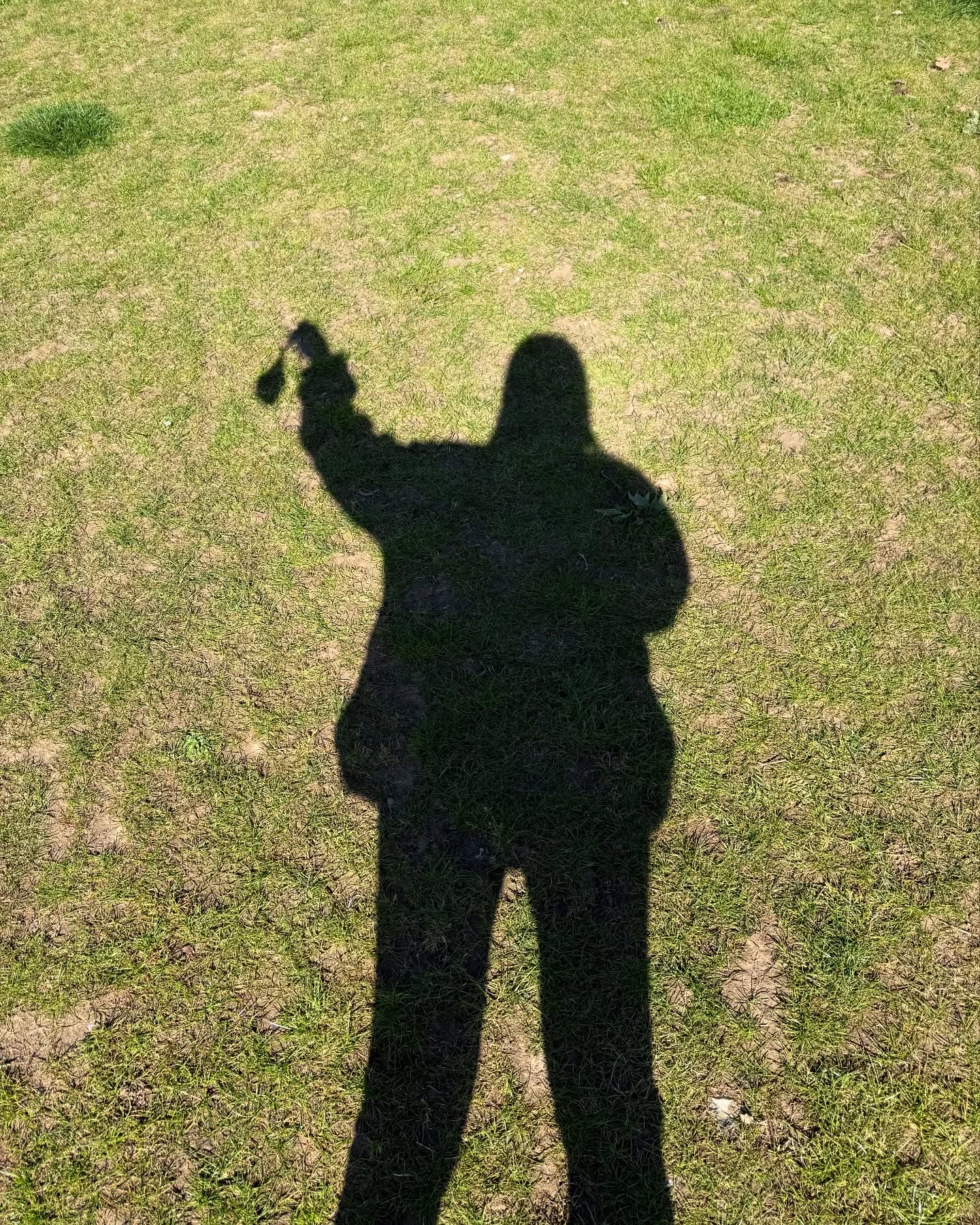 i call this one Girl with the Pearl Poo.
.
.
.
.
#dog_features #dogsofinstaworld #dogs_of_instagram #dogoftheday #dogsofinstagram #dogstagram #doglover #dog #dogs #doggy #doggo #doge #doggies #doggie #cute #dogwalker #dogwalking #norwichdogwalker #dogwalkernorwich #norwich #norfolk #dogpark