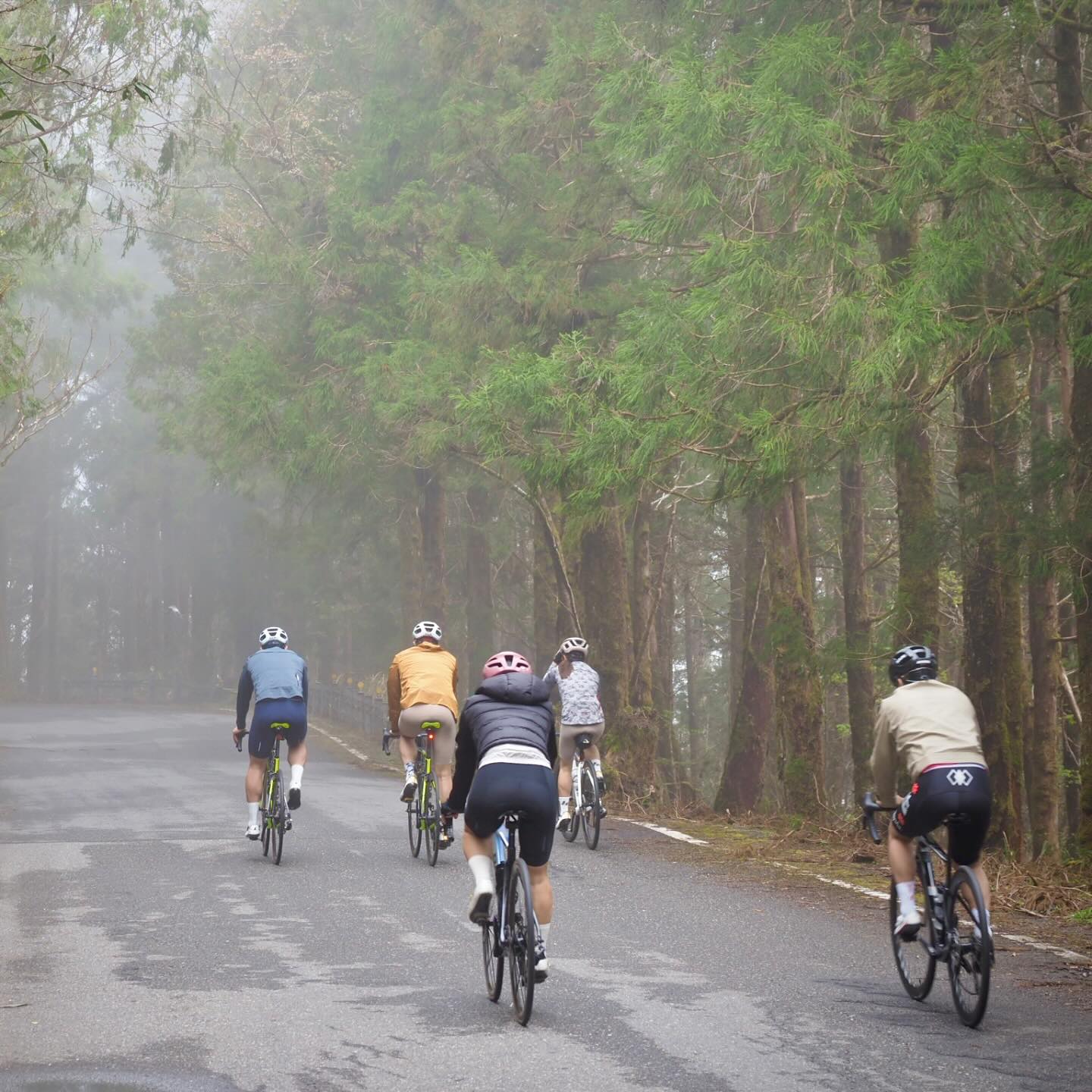 Cycling in the mountains of Taiwan is a kind of happiness
#LetsRideTaiwan