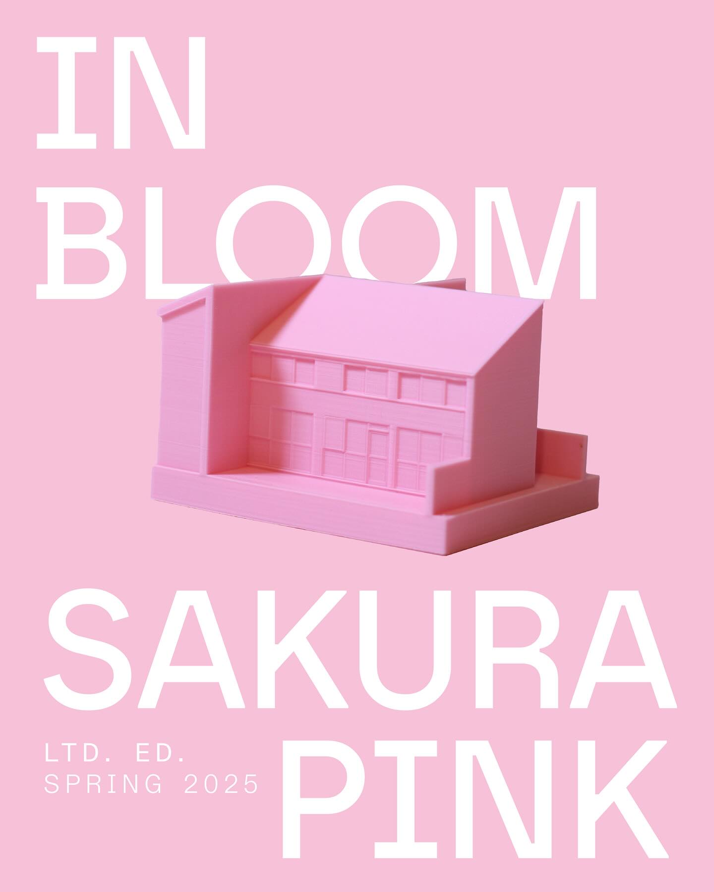 LIMITED EDITION for Spring 2025, available for another two weeks only. Celebrate the blossom season 🌸 with our Sakura Pink 3D home portraits. Available to order now on our website, with discounts for existing customers.