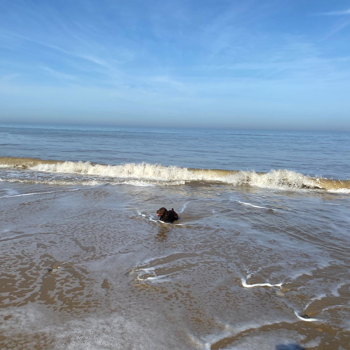From your pitch to the sea in minutes… 🏕️ 🏖️
Mundesley Beach is just a wander away from our campsite (Hayfield Hideaways). Think salty air, sandy toes, and sunset strolls, all without ever needing the car.
Ready to wake up on the Norfolk coast?
Book your stay for the summer… link in bio ⬆️