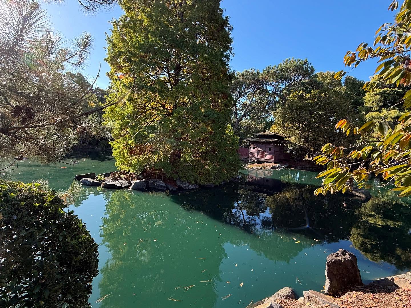 Autumn at the Auburn Botanical Gardens