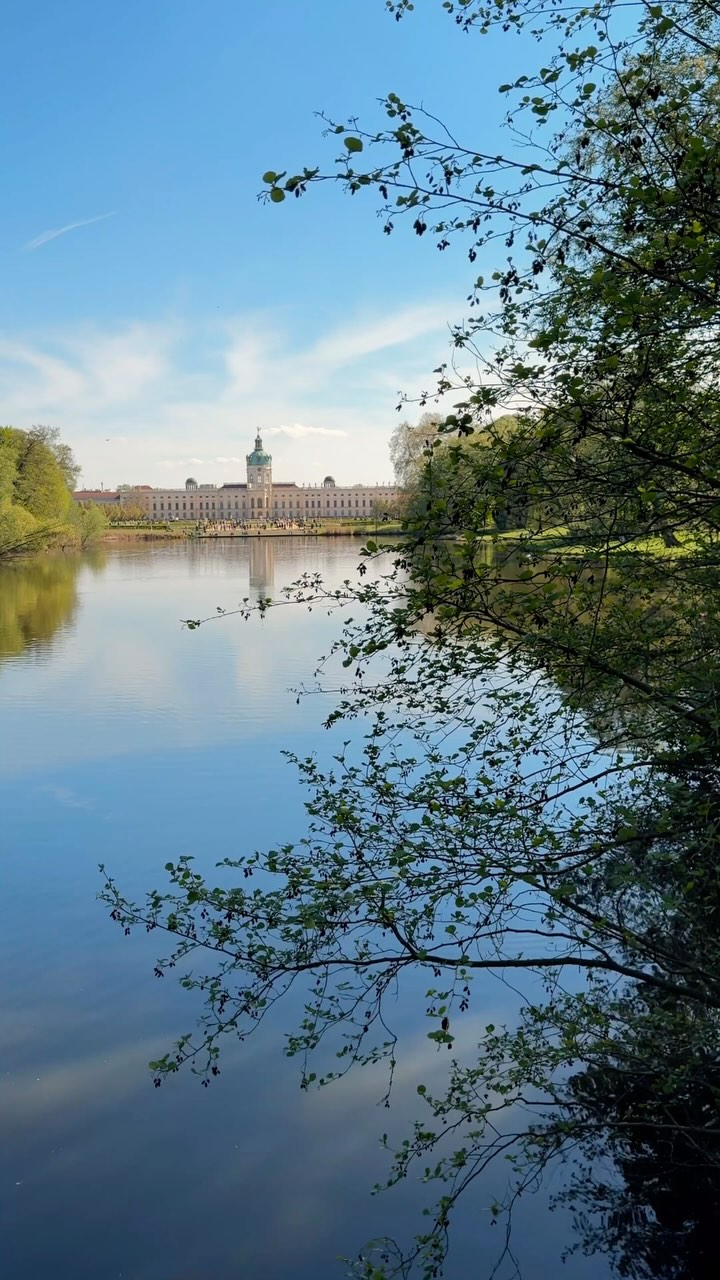 ✨ The Beauty of Berlin – City West
From the timeless beauty of Schloss Charlottenburg to the vibrant energy of Ku’damm and the charm of Savignyplatz — City West is where Berlin’s heritage and elegance quietly unfold.
Let us simplify your life, so you can focus on moments like these. ✨
#finesttouch #berlincitywest #charlottenburg #kudamm #savignyplatz #conciergelifestyle #berlinluxury