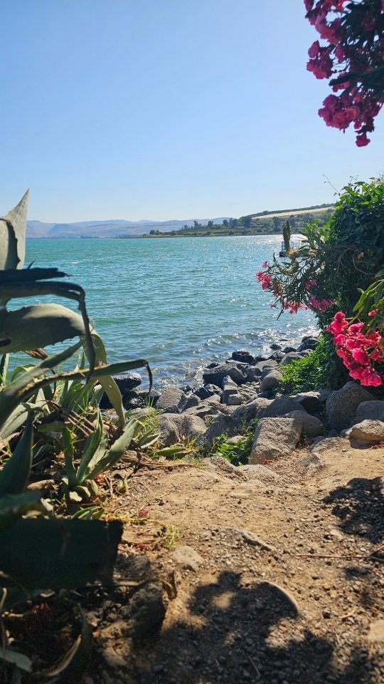 Happy Easter 2025! 🙏
I walk these ancient stones…
But it's more than history.
This is holy ground.
Because You walked here first, Jesus.
Carrying the weight of my sin, my shame, my story.
With every step, I remember:
You didn’t have to do this.
But You chose the cross—
You chose me.
I feel the dust under my feet,
But You felt the thorns on Your brow.
I carry a camera—
You carried a cross.
Still, I follow You, Lord.
Not just here, but every day.
Through my own pain,
Through surrender,
Through faith.
This road is narrow.
But it leads to life.
Because You are the Way.
My Savior. My Redeemer.
And I will follow—wherever You lead.
#jesus #karfreitag #semanasanta #easter25 #viadolorosa