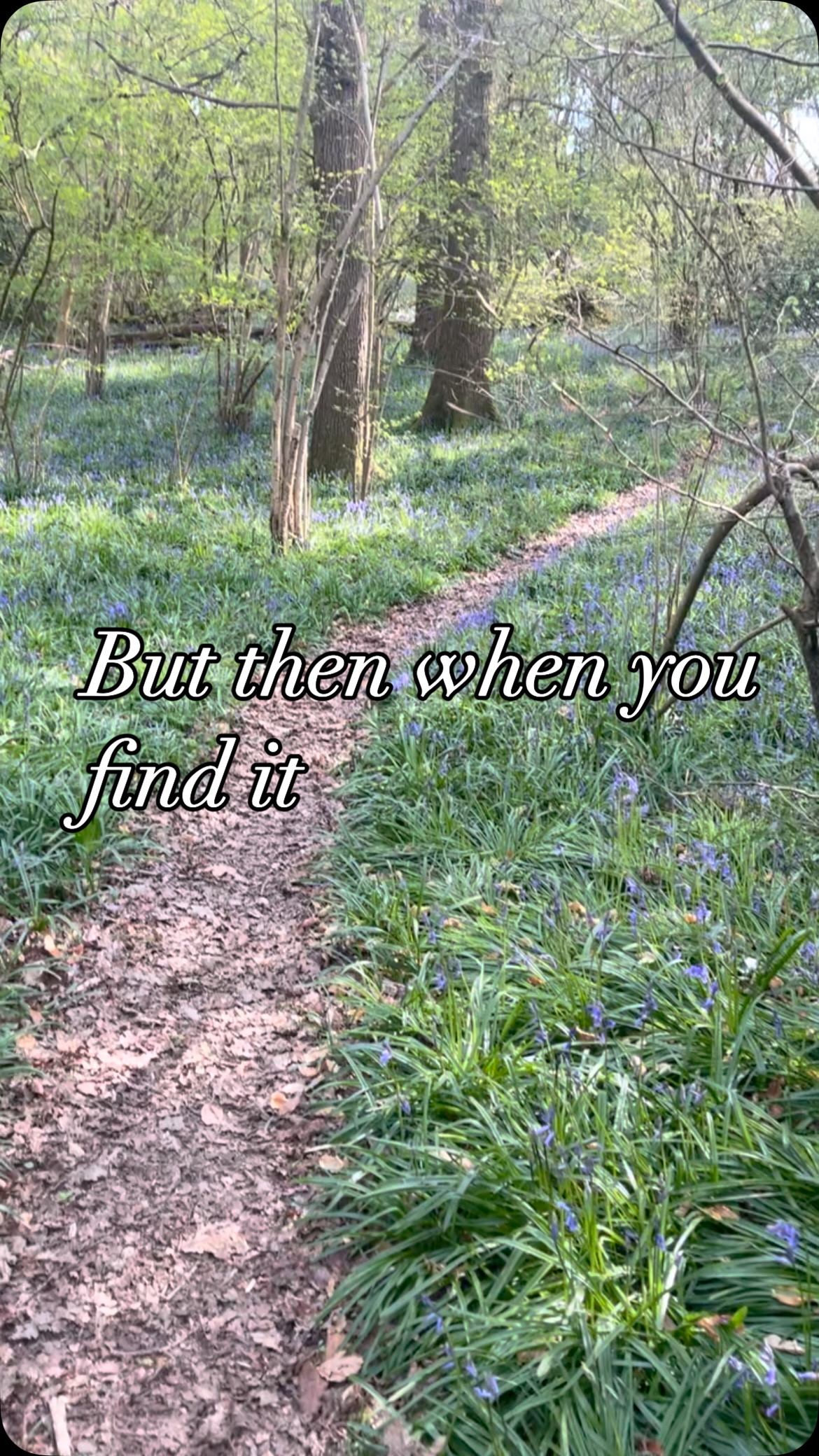 We are coming up to our year anniversary of starting the business and launching out into the world.
It’s been a journey and one that so far has lit a spark of many emotions but that fire of passion for what we are building remains strong and with no products on the horizon things can only get better.
Keep those dreams building