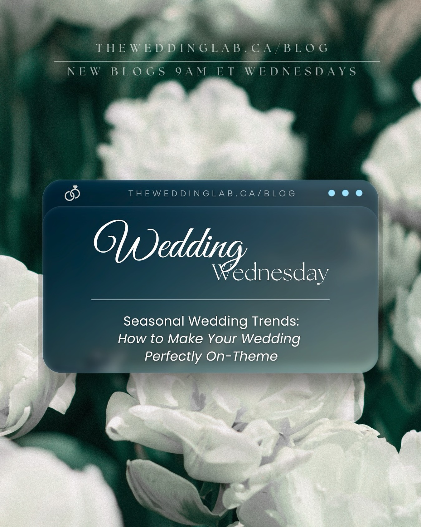 ✨ Wedding Wednesday ✨
This week on The Lab Report blog, we’re diving into Seasonal Wedding Trends and how to make your big day feel perfectly on-theme—no matter the season. 🌸☀️🍂❄️ Whether you’re leaning into moody autumn tones or breezy summer whites, we’ve got the inspiration (and practical tips) to make your wedding feel just right.
💻 Read now at theweddinglab.ca/blog
🕘 New blogs drop Wednesdays at 9AM ET
🌿 Let us help you plan a day that reflects your season and your story.
#WeddingWednesday #TheLabReport #SeasonalWeddings #WeddingPlanningTips #TheWeddingLab