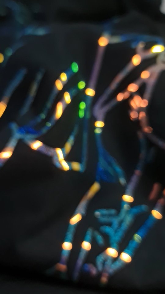 Sparkle & Shine for days.
A close up of our Holographic tees.
#swingdance #balboa #200bpmclub #balboadance #ballove #swingdancer