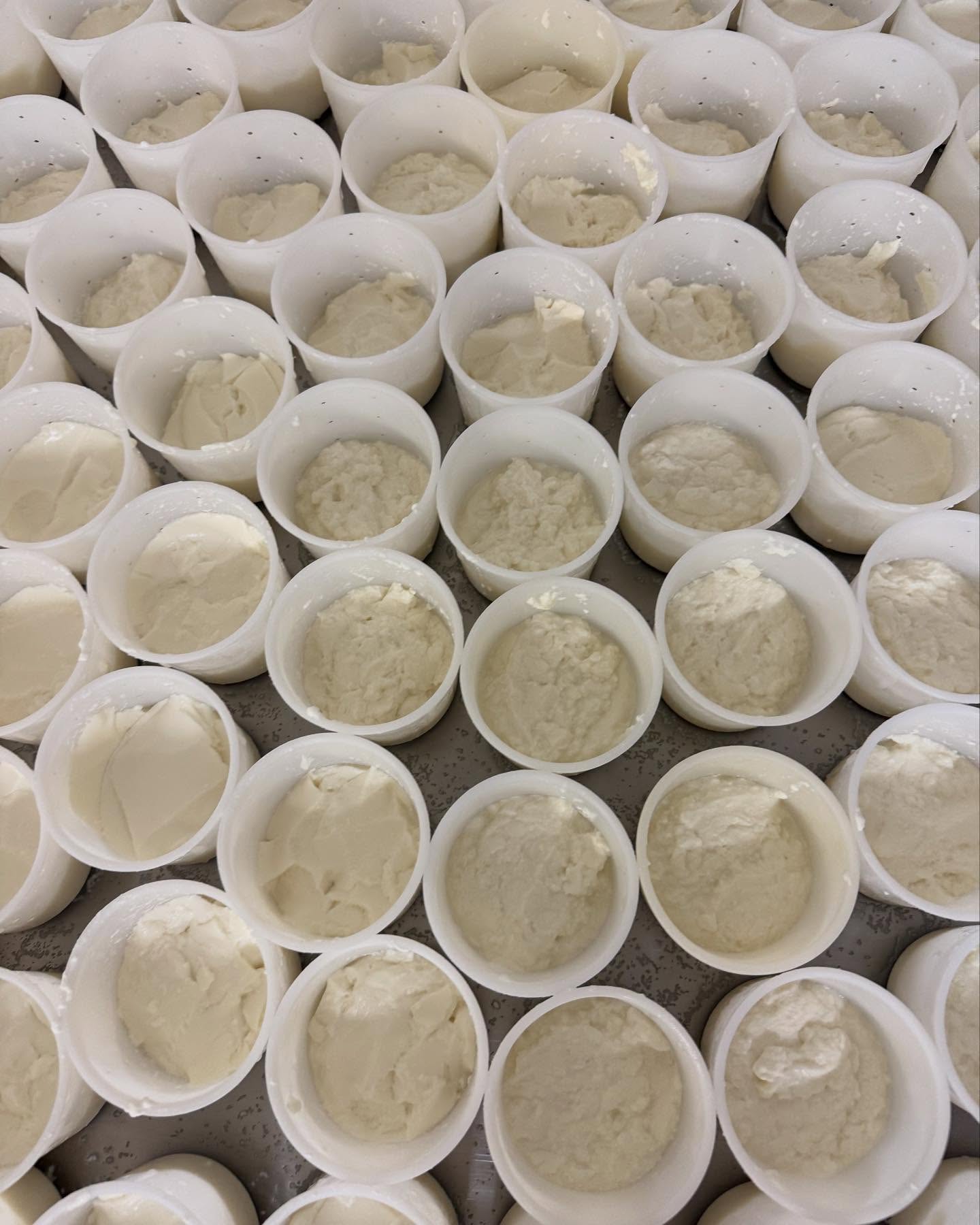 Sans nos paysans, il n’y aurait ni bon produit, ni grande table.
Sous le soleil de Collobrières, Loïc de Saleneuve nous a accueillis au cœur de sa ferme, la Bastide de la Cabrière.
Un chévrier comme on en croise rarement, passionné de la terre et du vivant.
À nous de ne jamais oublier nos racines et de les cultiver, encore et toujours.
Merci Loïc et ta famille d’avoir enchanté petits et grands.🐐🌱
#duchampalassiette #byjoytraiteur #byjoy #traiteur #traiteurevenementiel #collobrieres #traiteurethique #paysan #citcuitcourt #traiteurresponsable #respectdelaterre #produitslocaux #provence #foretdesmaures #fleurs #printemps #var #nature #simplicite #produitdexception