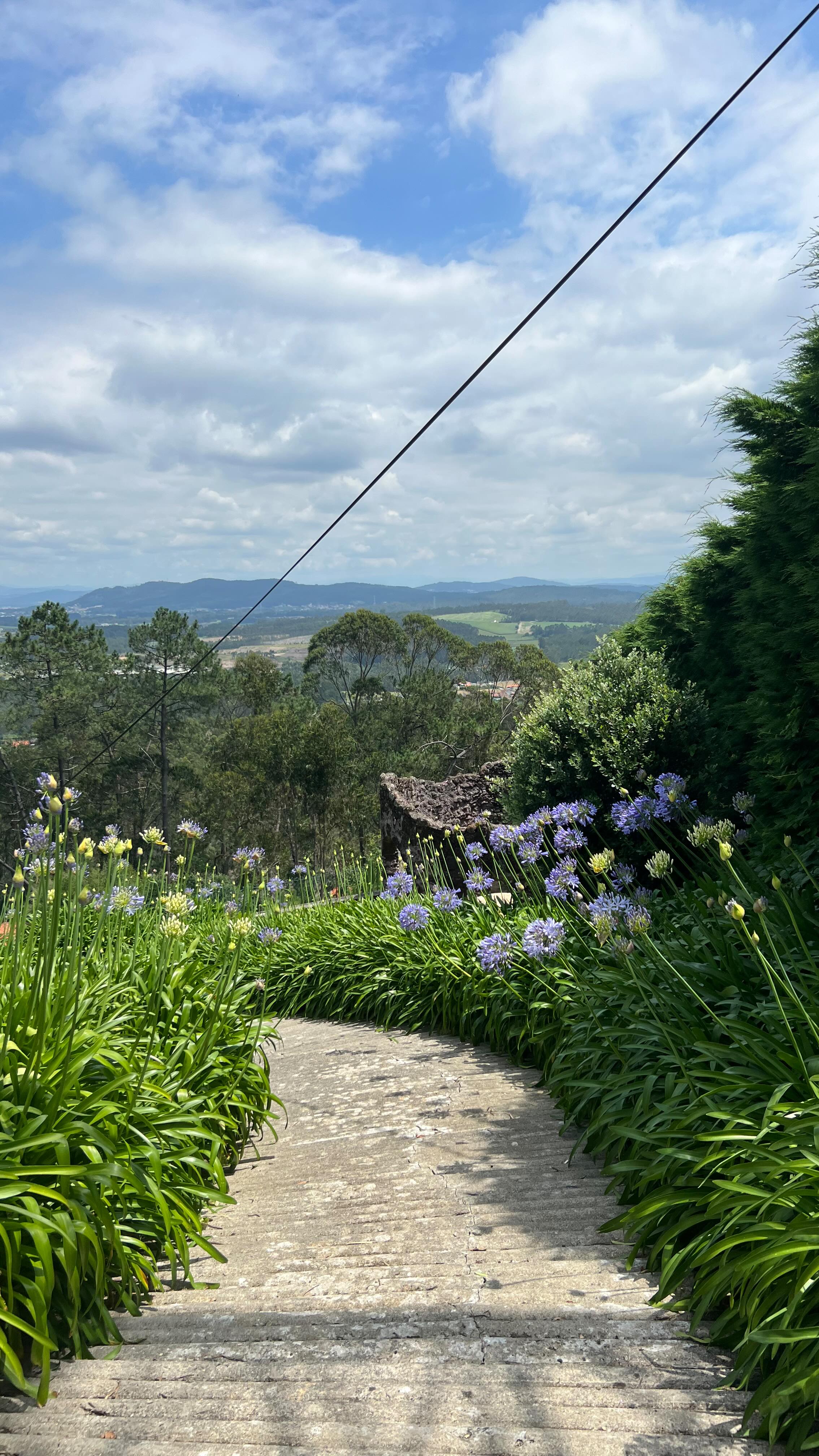 Because ⭕️ houses ask for ⭕️ windows! 😎