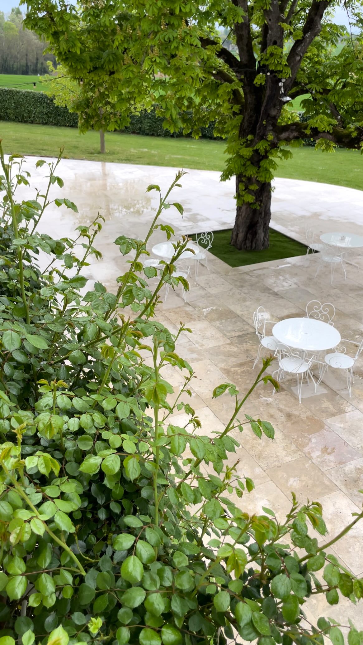 La pluie tombe doucement sur la terrasse du Domaine de Bonaveau… 🌿
Chaque goutte réveille les parfums du printemps,
Ici, même les jours gris ont le goût de la beauté.
#PrintempsAuDomaine #hotel #InstantsSuspendu #hoteldrome #mariage