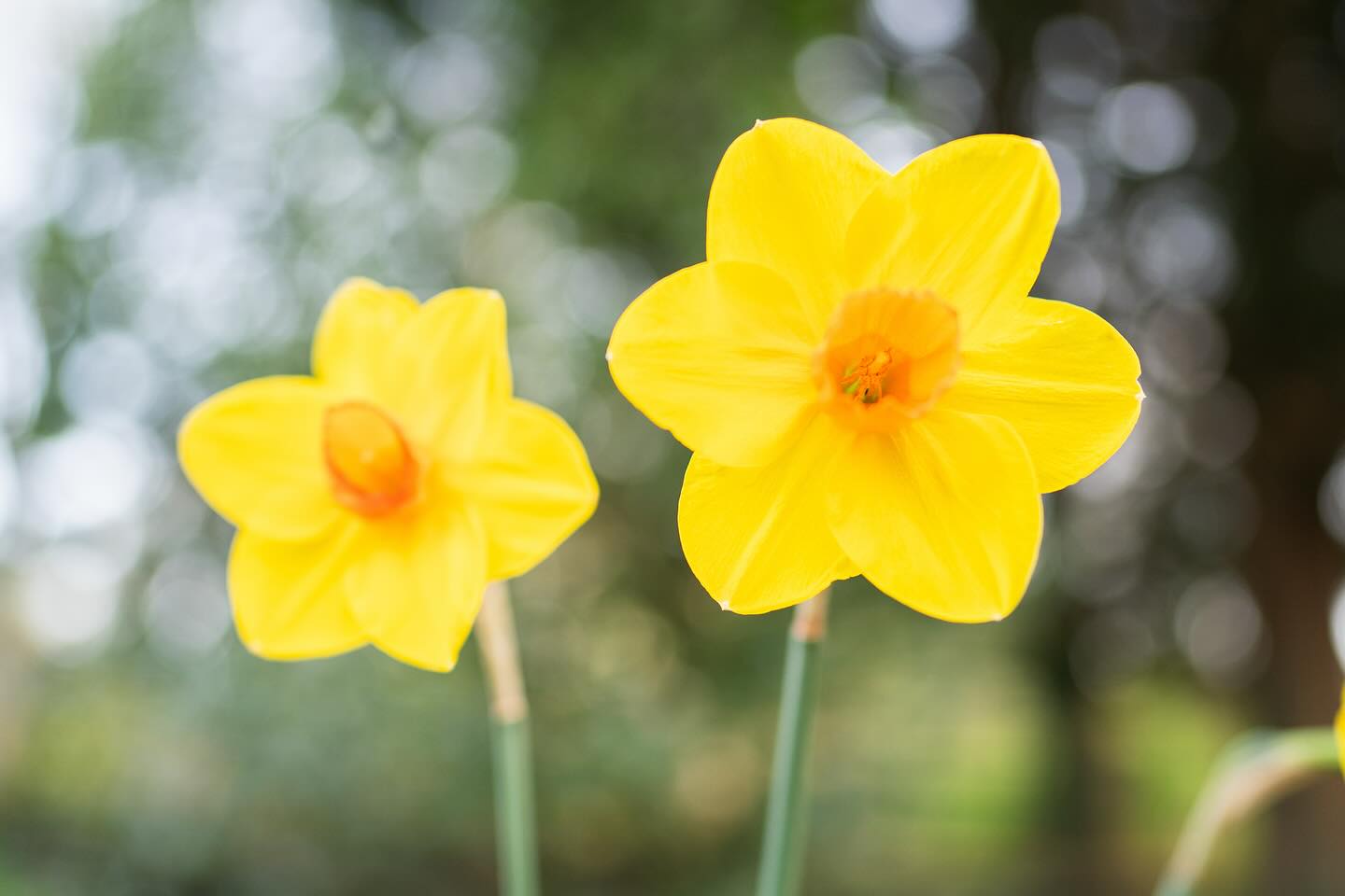 We hope you all have a happy Easter weekend! 🐣🌼