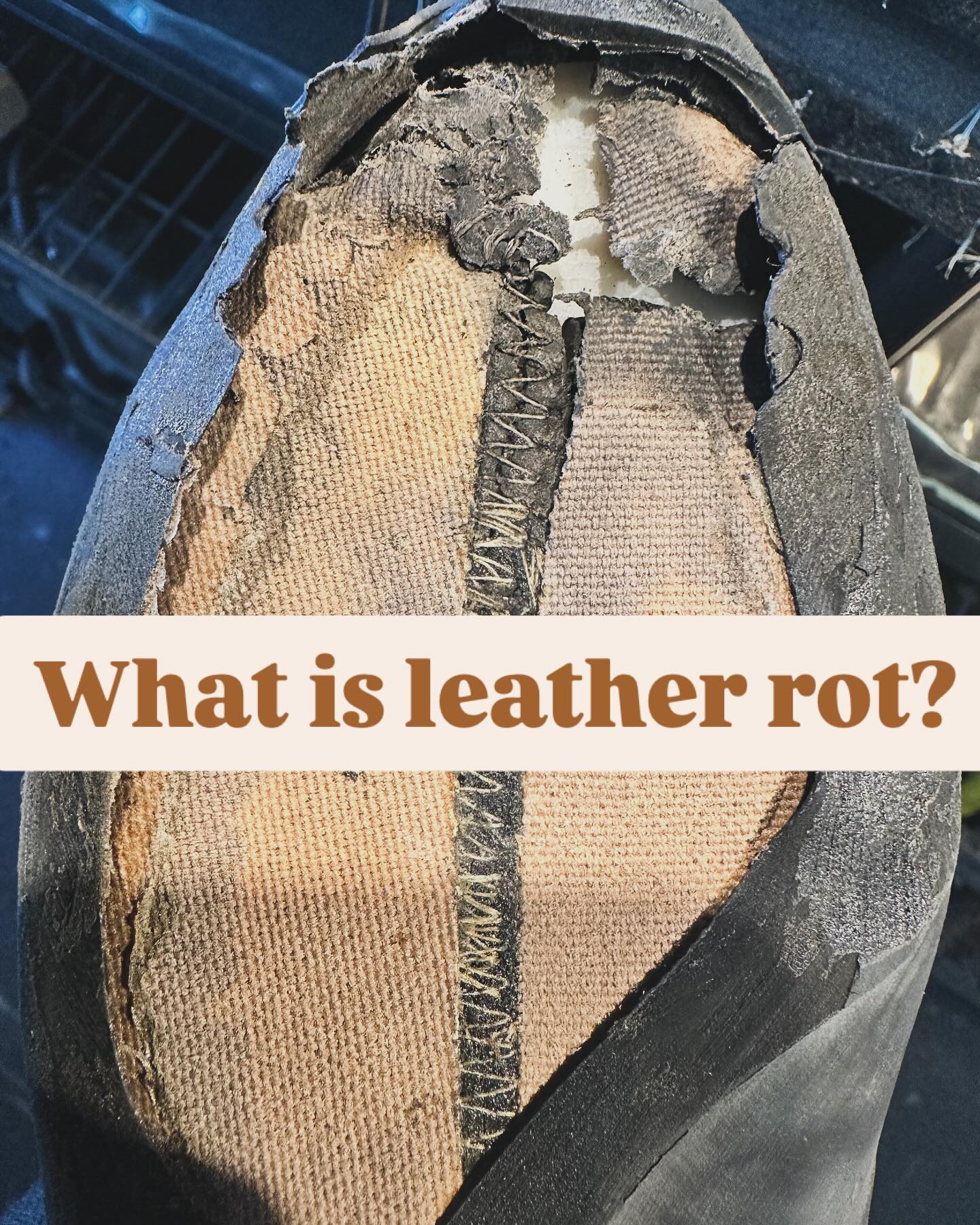 Leather rot in rock climbing shoes is the breakdown of leather due to moisture, sweat, and bacteria. It weakens the material, causing cracks, odor, or disintegration, which harms fit and performance.
Prevention:
• Let shoes dry after climbing
• Clean regularly with a damp cloth.
• Store in a dry, ventilated space.
• Rotate pairs to allow drying.